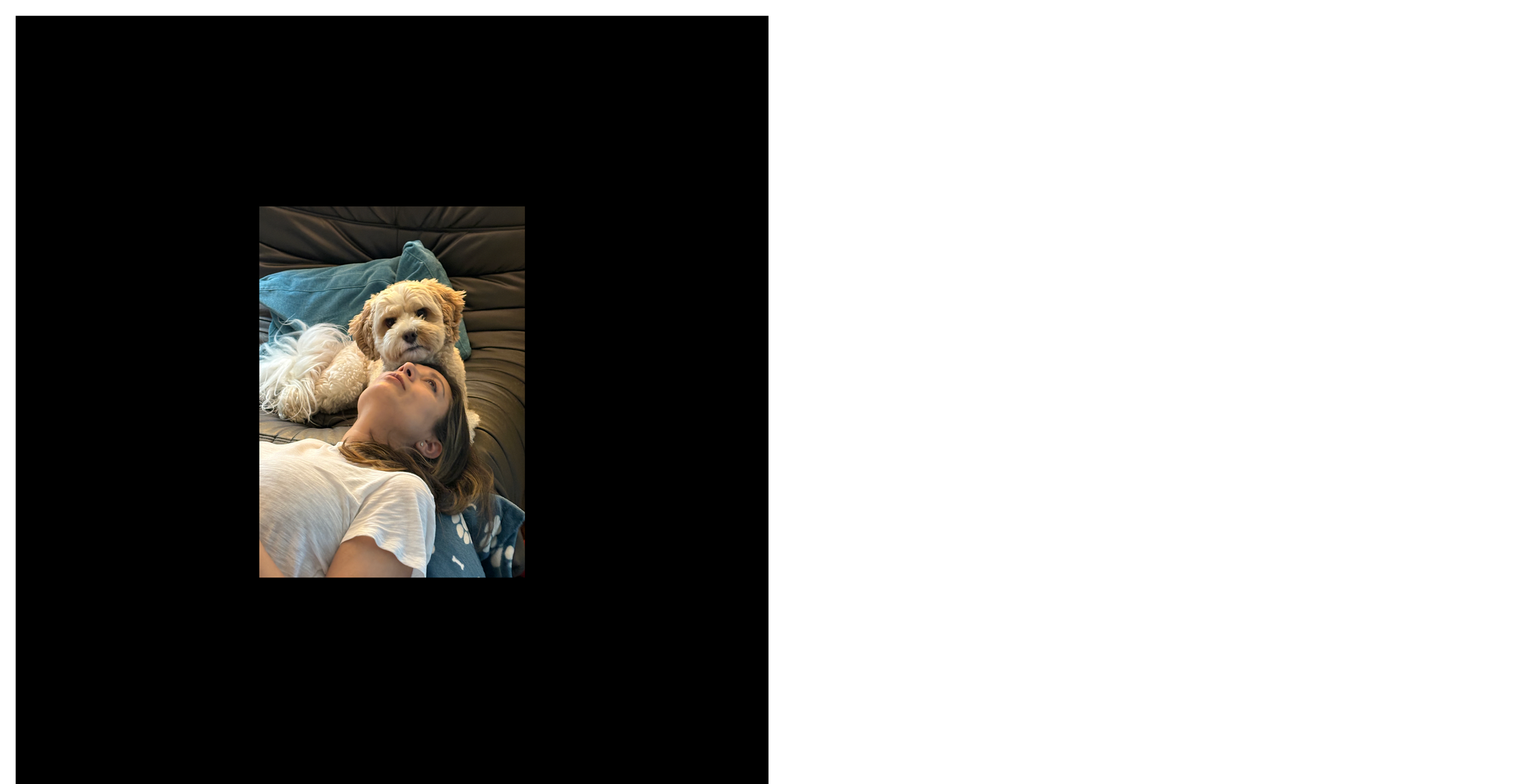 H50 Party Book17.png