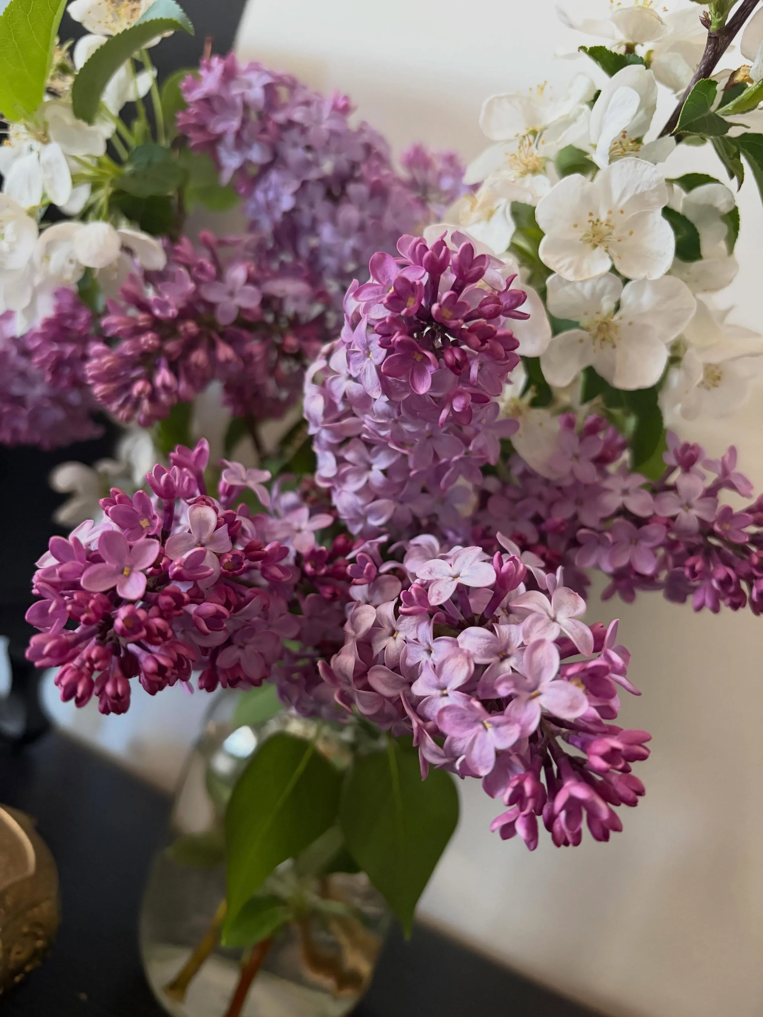 Lucky enough to live in a place where I can grow my own flowers in my yard ❤️
