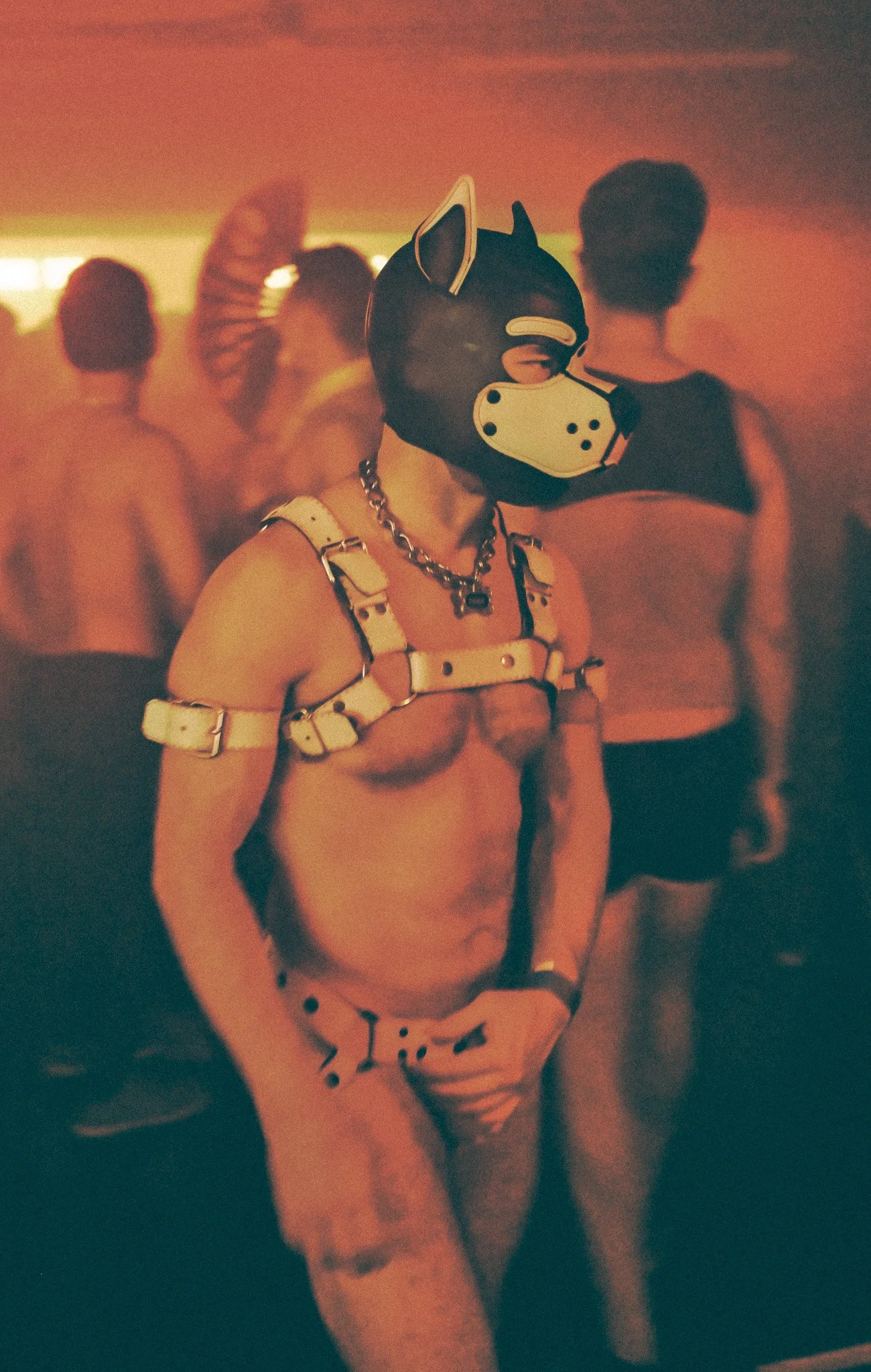 nightlifebatchtwo-134.jpg