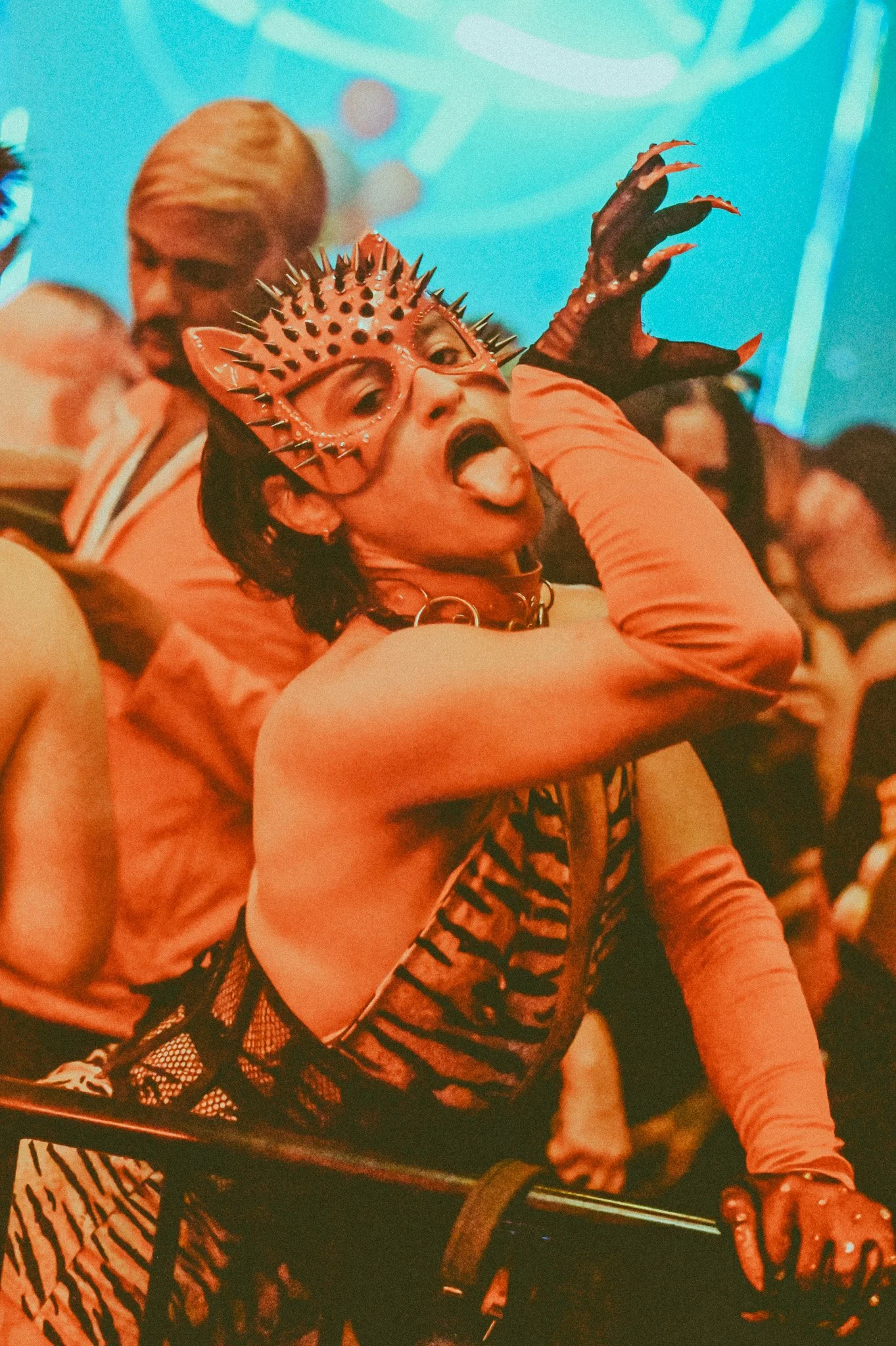 DSC_2596.jpg