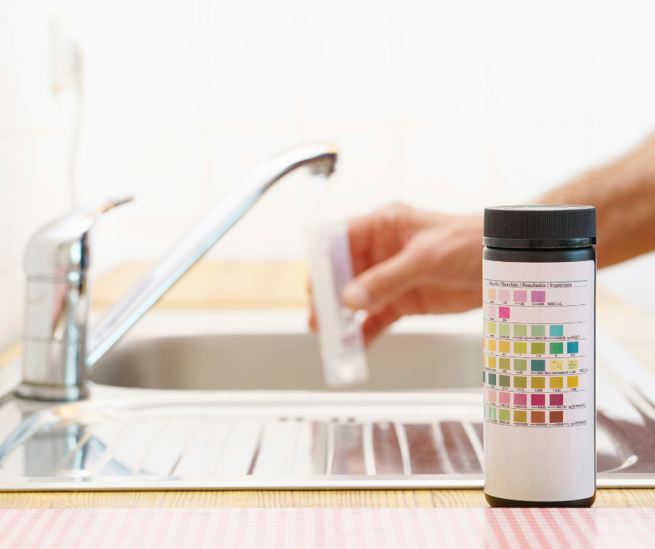 Person rinsing a sample in a kitchen sink with a container of test strips nearby.