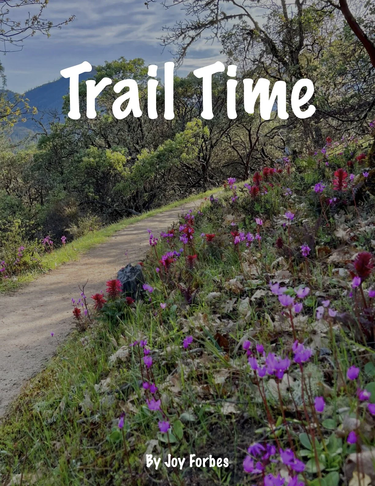 Bike book cover for website.1.jpeg