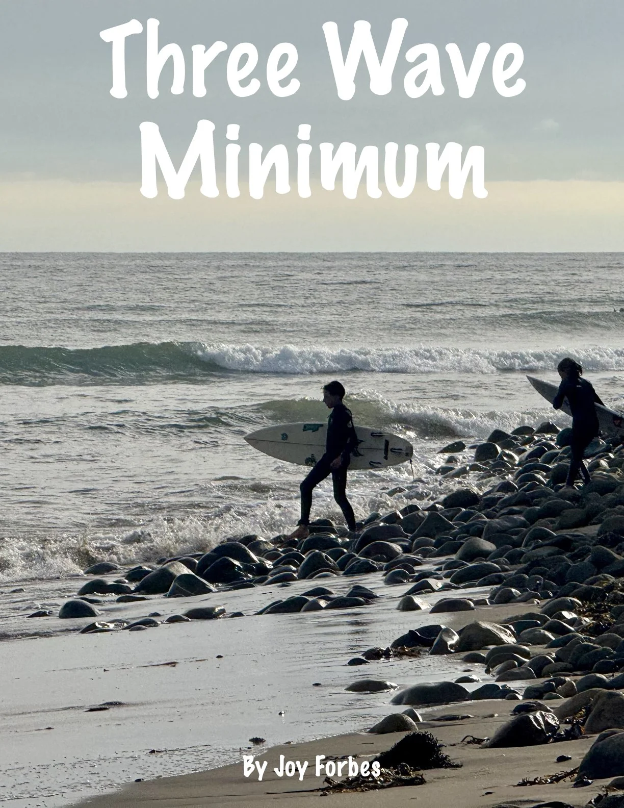 Surf book cover for website.1.jpeg