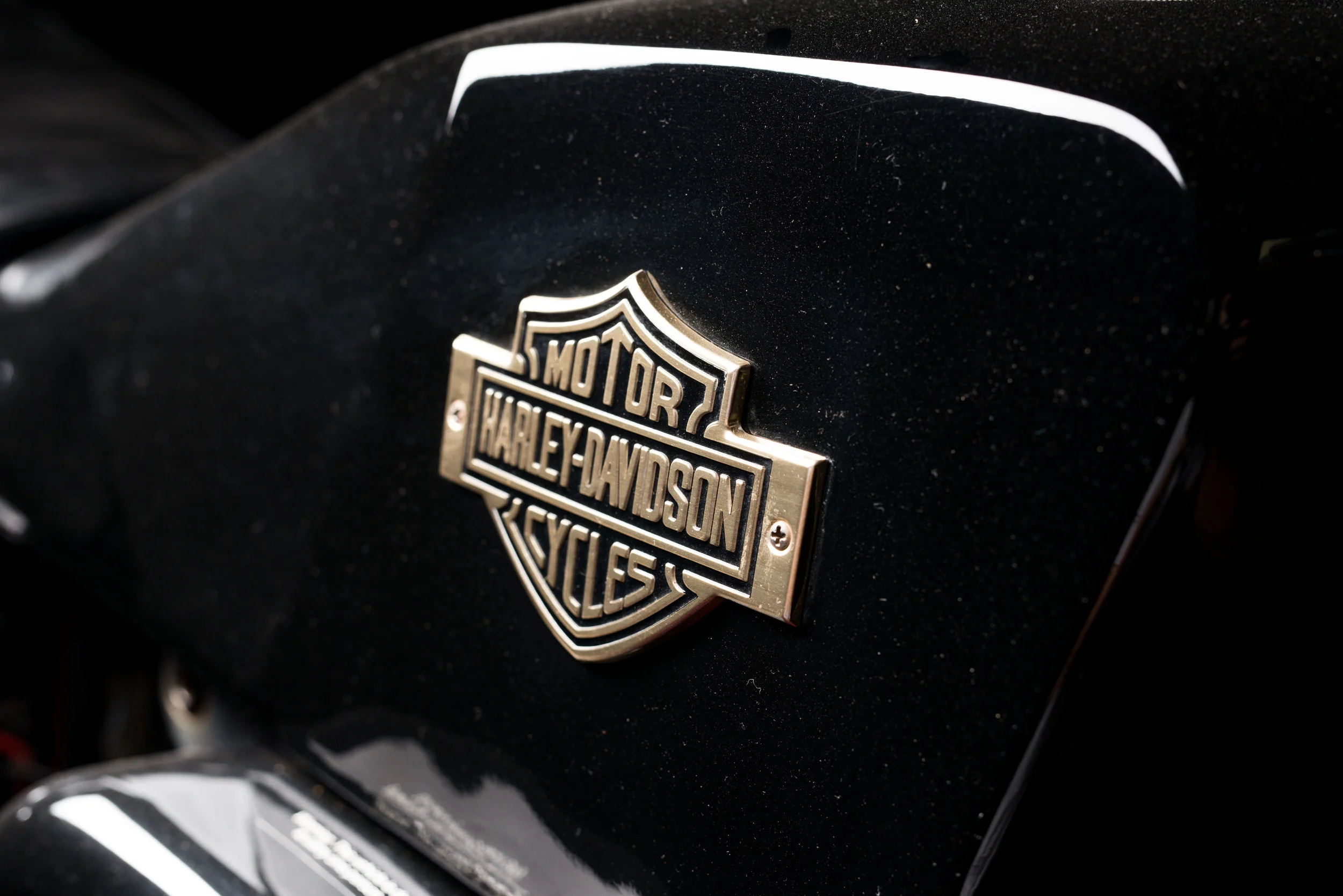 1978 Harley-Davidson XLCR 1000 Cafe Racer-5.jpg