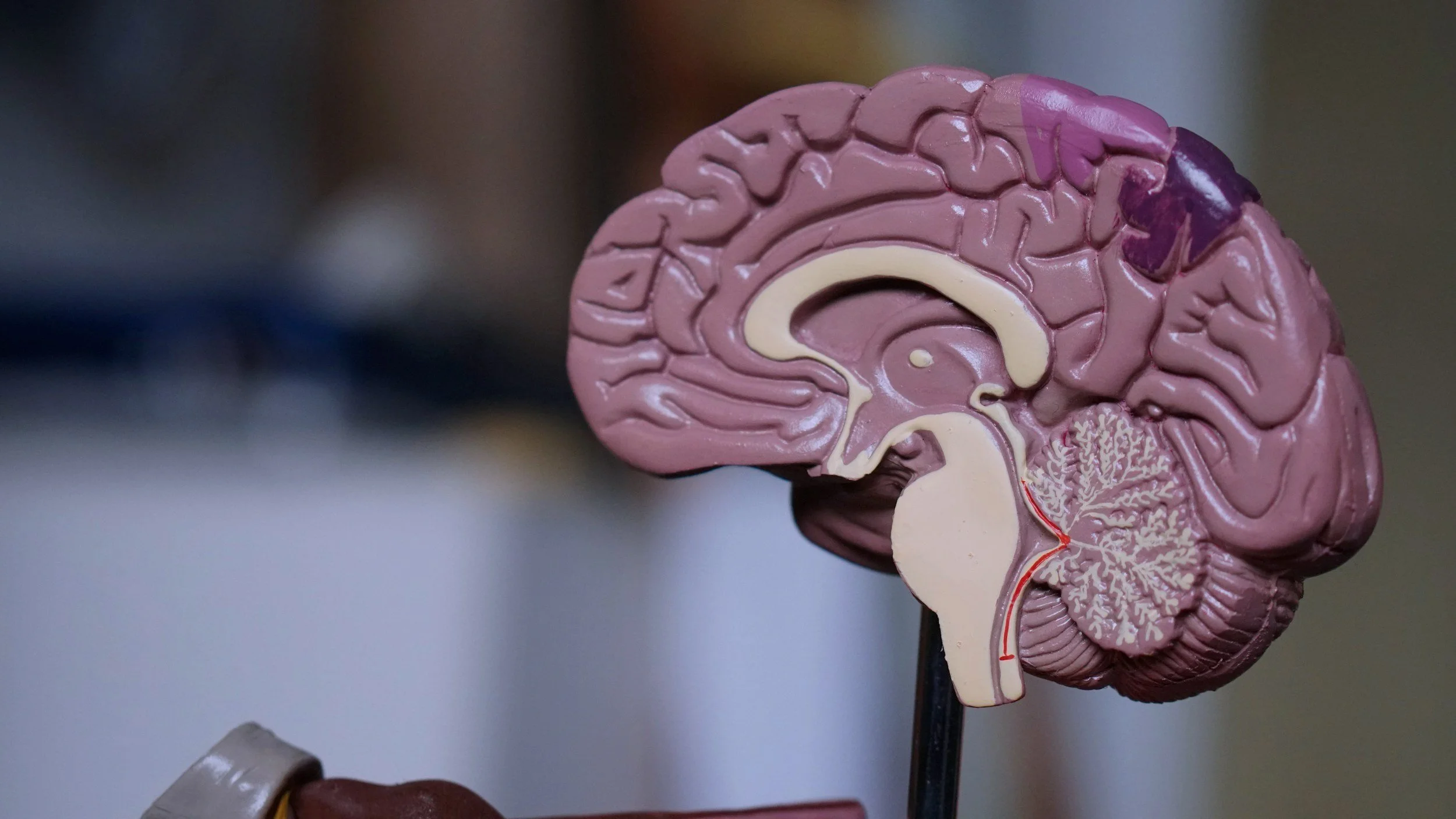 What Is Deep Brain Reorienting?