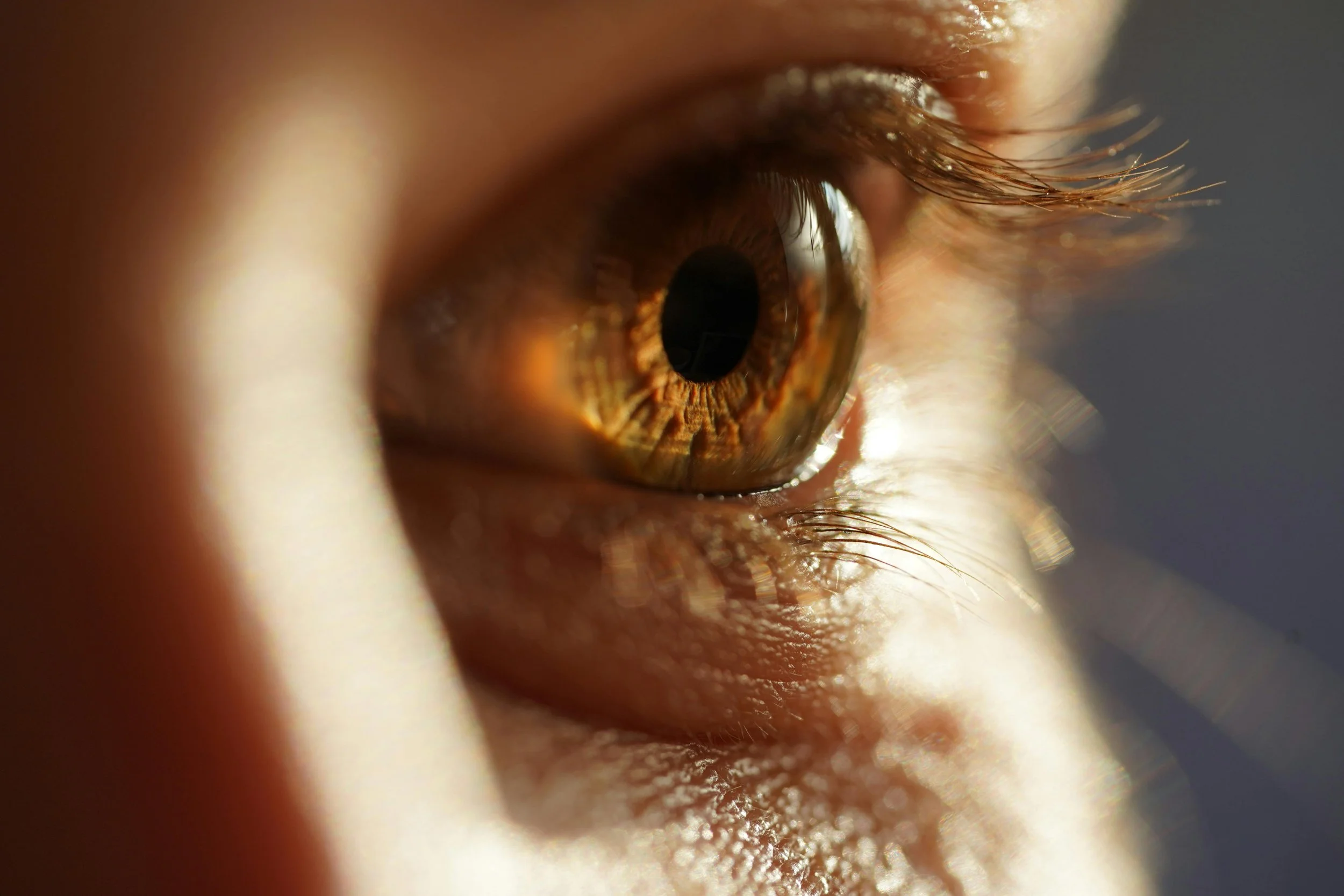 Close-up of a person's brown eye with detailed eyelashes and reflections in the iris.