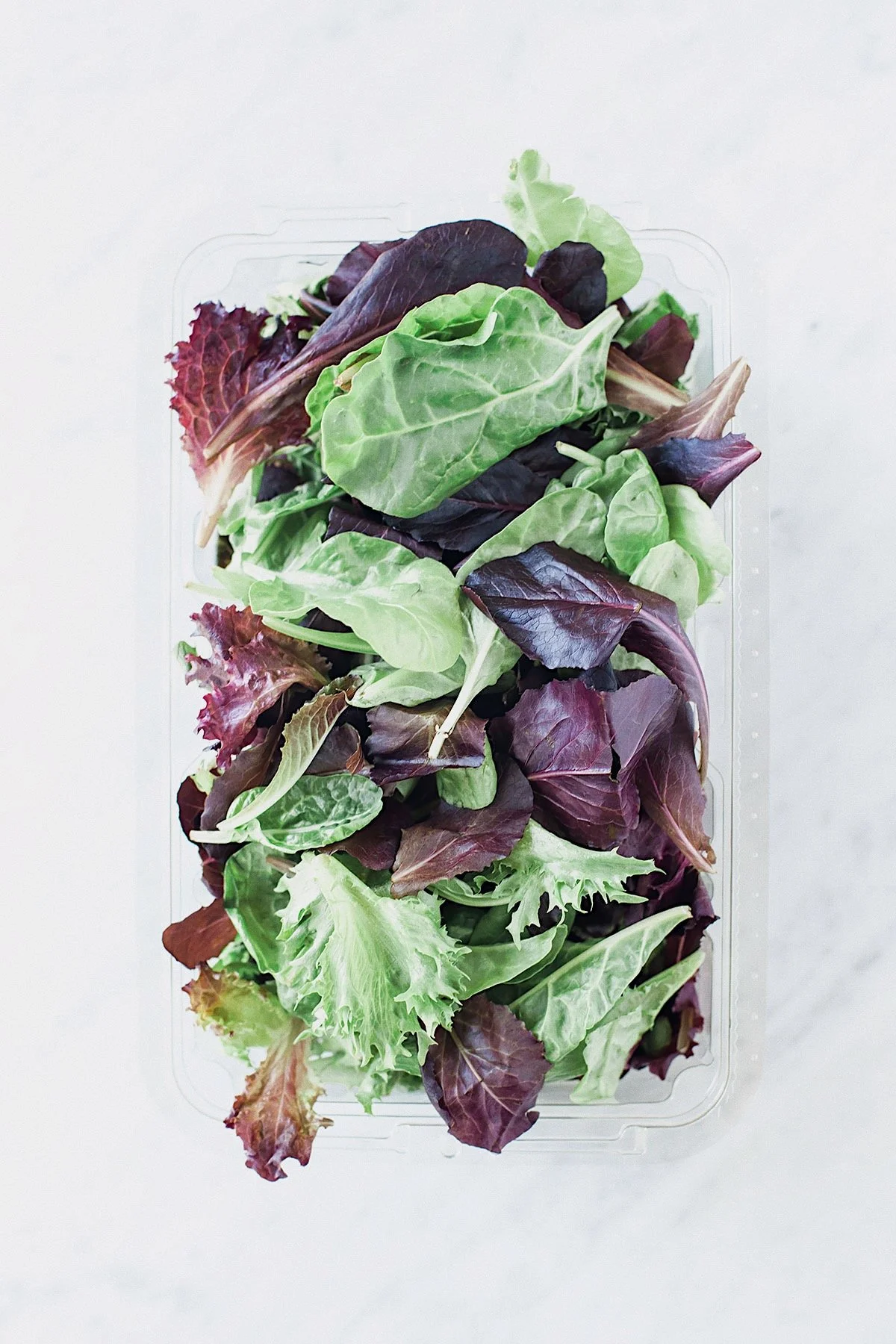 Mixed salad greens stored in a container to keep them fresh.