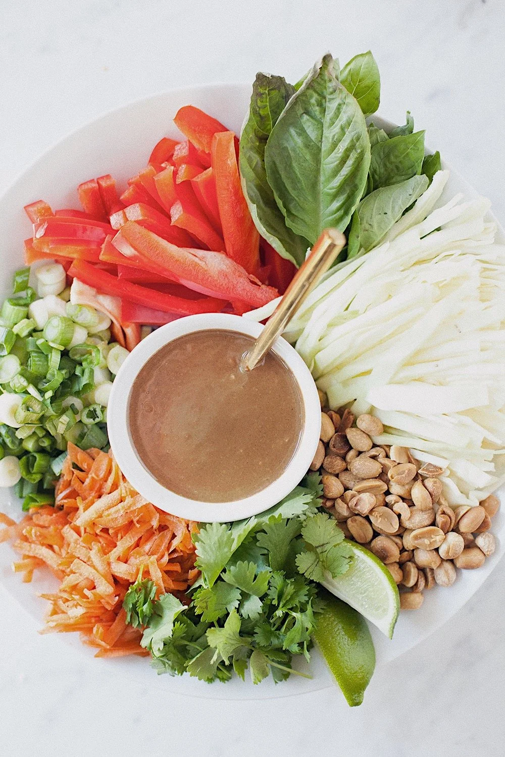 Overhead shot of Pad Thai salad ingredients arranged around a bowl of peanut–tamarind dressing — including shredded carrots, bell pepper, scallions, cabbage, cilantro, lime wedges, and roasted peanuts.
