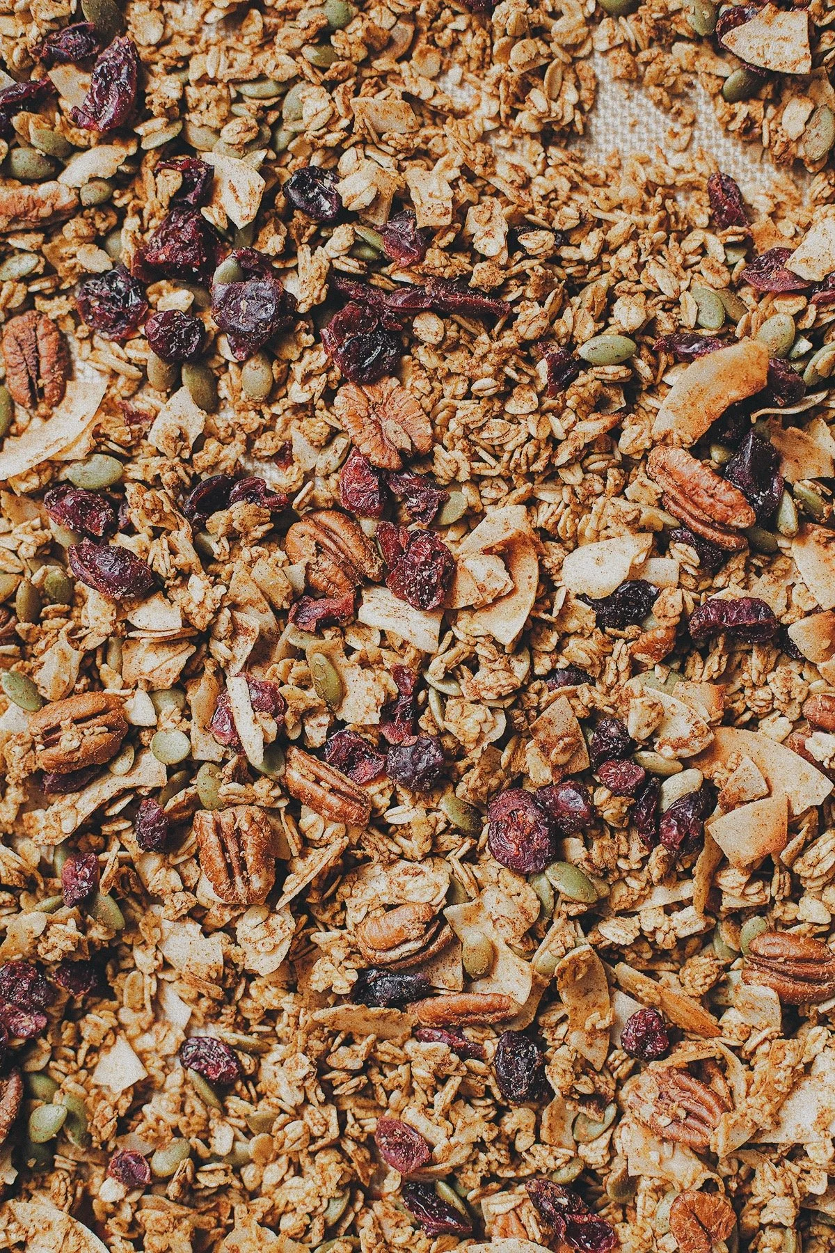 Close-up of homemade pumpkin granola with rolled oats, pecans, pumpkin seeds, coconut flakes, and dried cranberries.