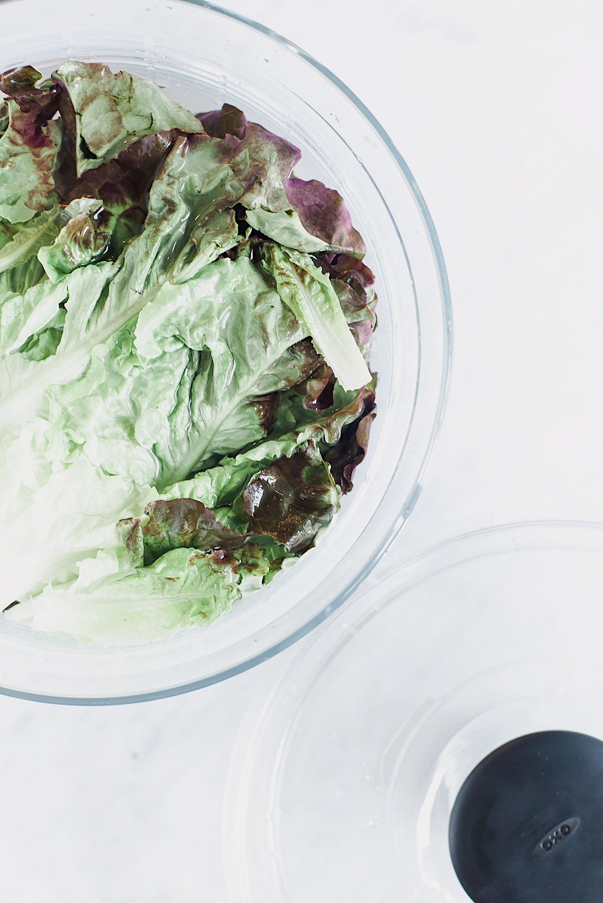 Salad greens in a salad spinner before drying.