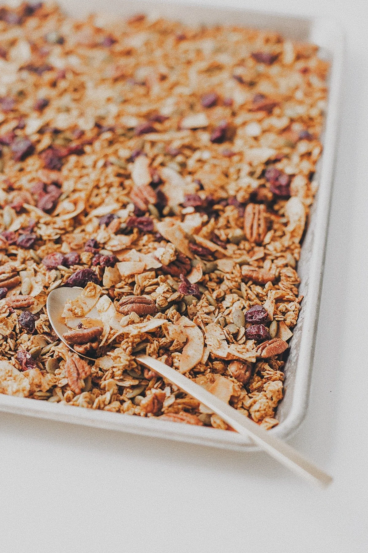 Freshly baked pumpkin granola with pecans, coconut flakes, pumpkin seeds, and dried cranberries.