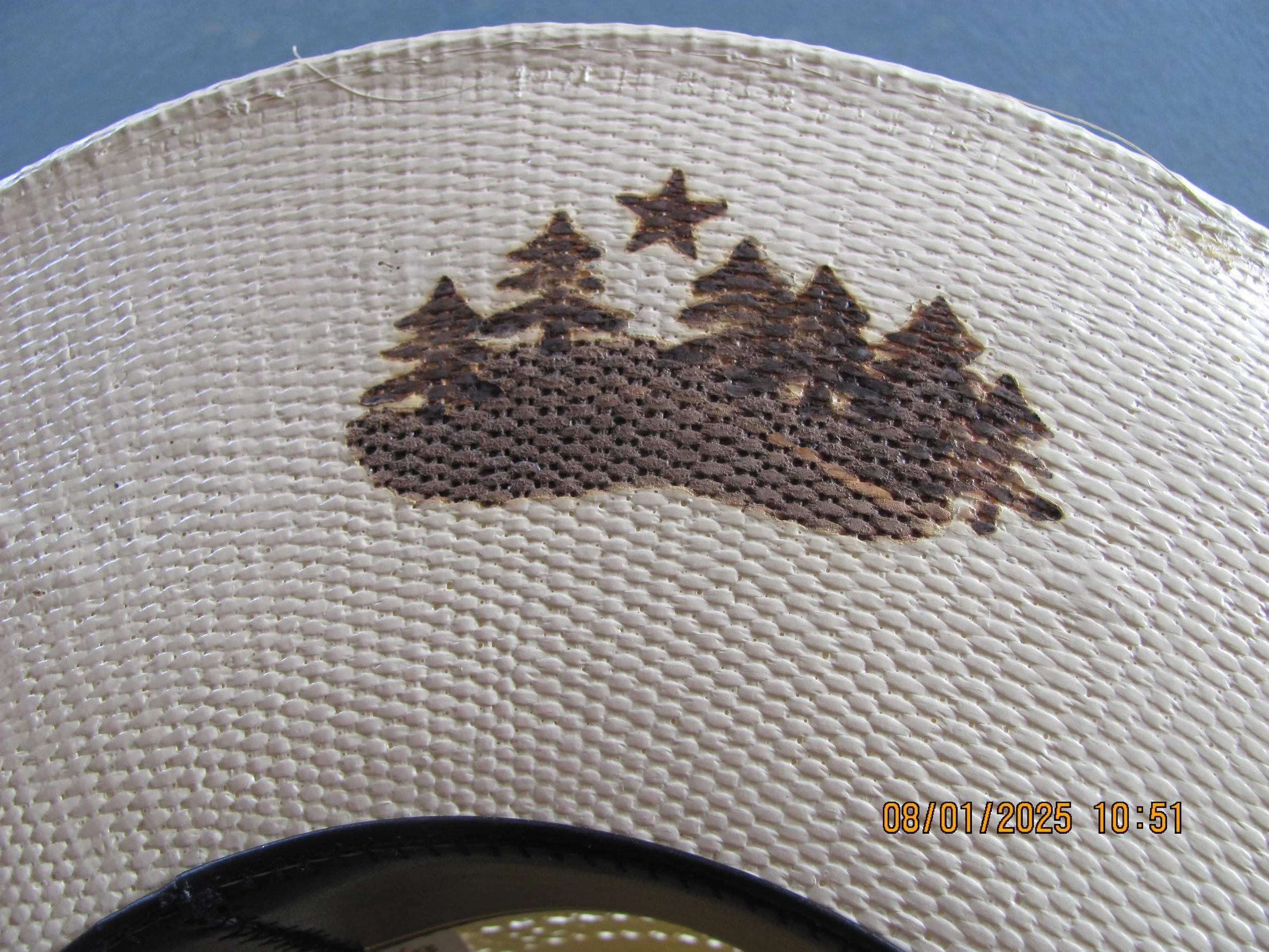 Close-up of a white hat with a black logo of a forest and a star above.