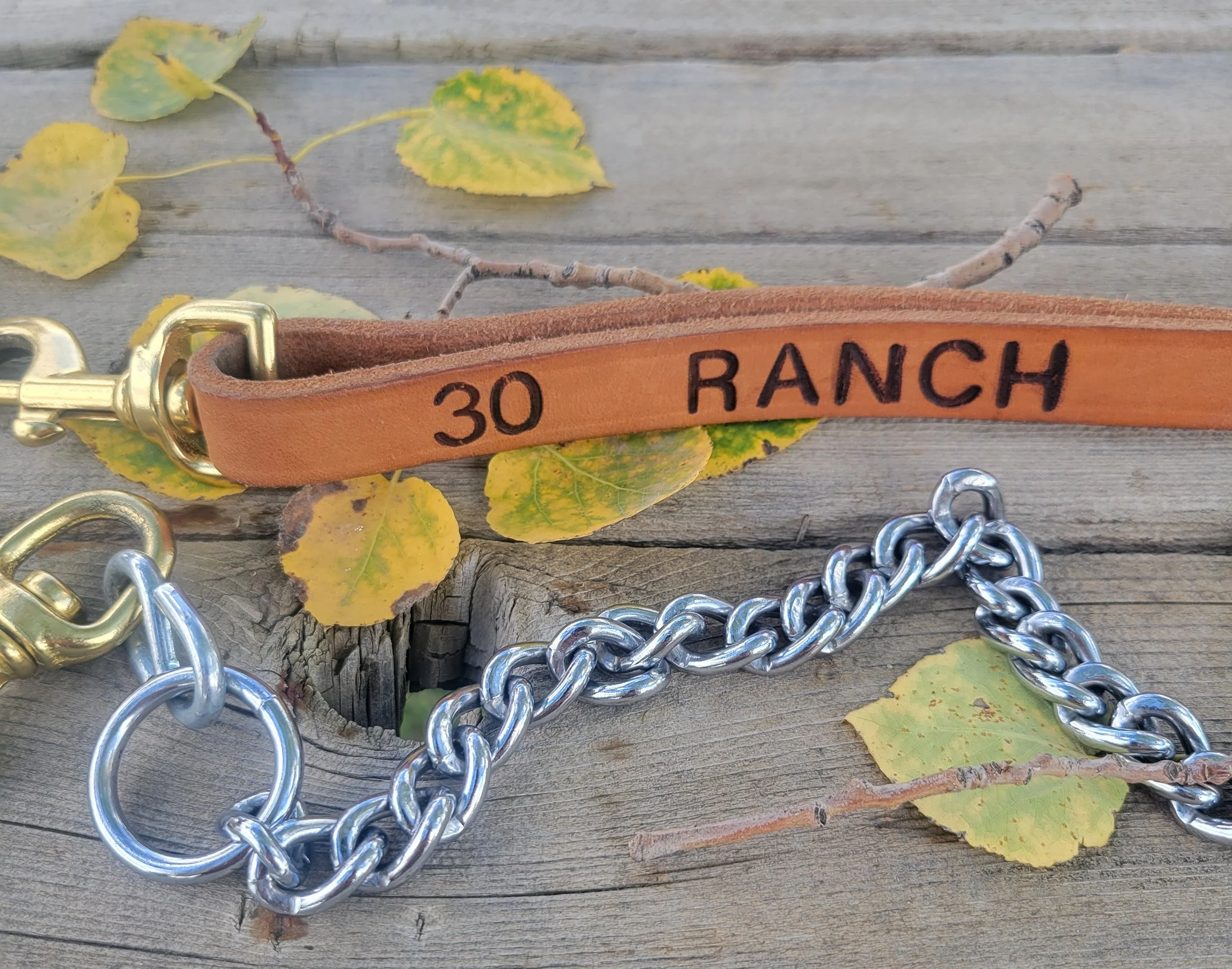 A leather dog collar with the number 30 and the word RANCH written on it, a silver chain, and a metal clasp, resting on a wooden surface with a few yellowing leaves and a small twig.