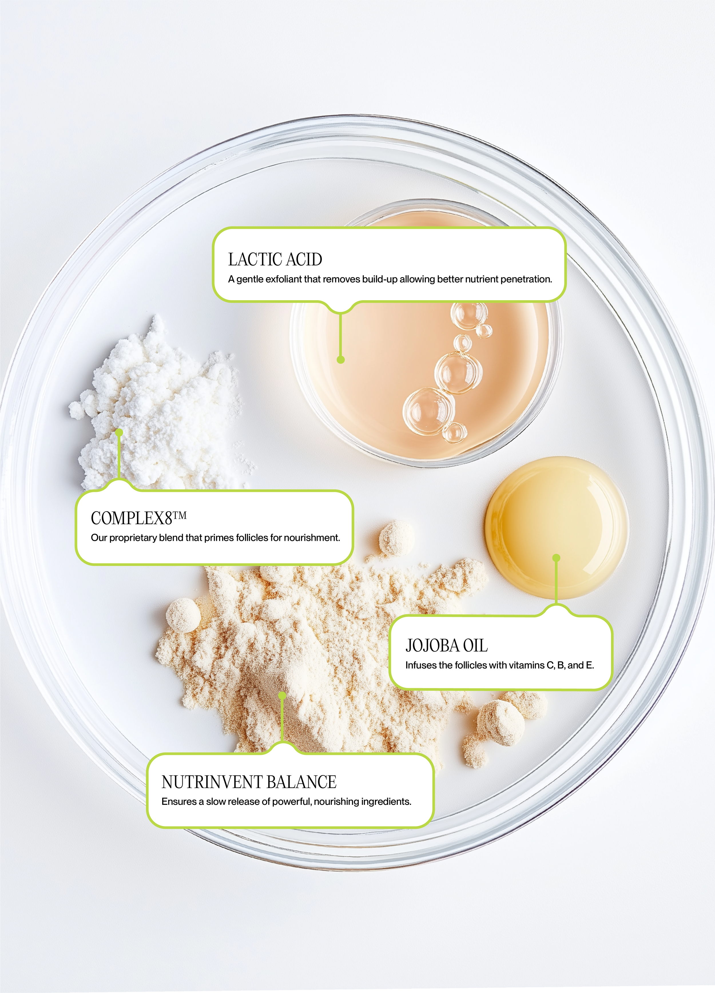 Skincare product ingredients in a glass bowl, including lactic acid, complex8 proprietary blend, jojoba oil, and nutrivent balance, with description labels.