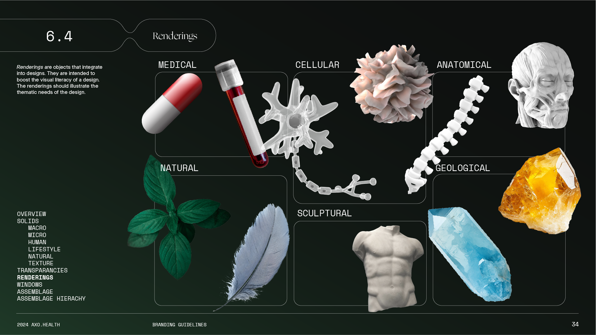 Infographic explaining the concept of renderings with categories: medical, natural, cellular, anatomical, geological, and sculptural. It includes images of a pill, test tube, neuron, brain tissue, skull, mineral, leaf, feather, muscle, and stone, wit