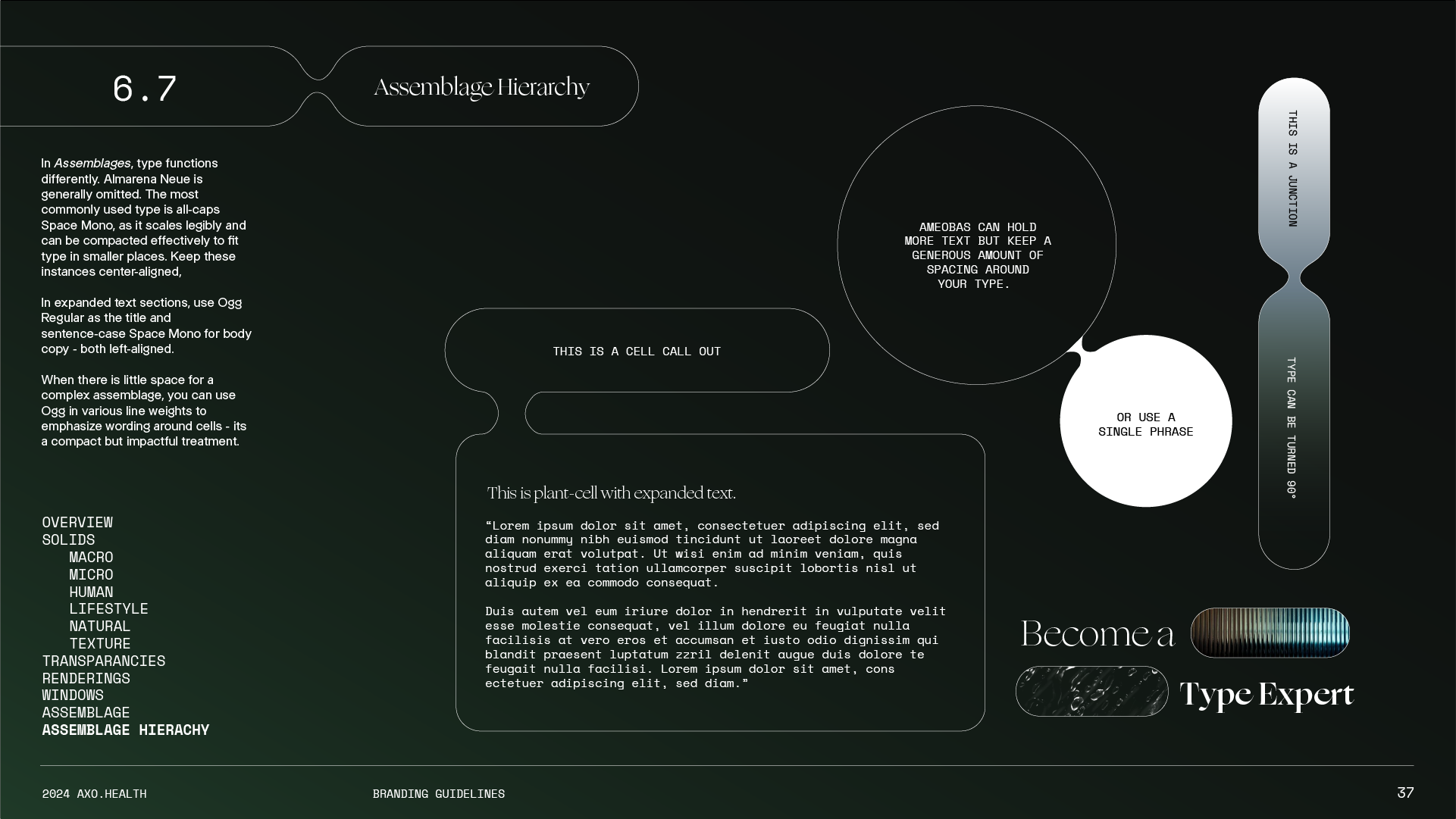 A graphic design layout with text and shapes explaining assemblage hierarchy. It includes sections titled "Assembly Hierarchy," "Overview Solids," "Macro," "Micro," "Human," "Lifestyle," "Natural," "Texture," "Transparencies," "Renderings," "Windows,