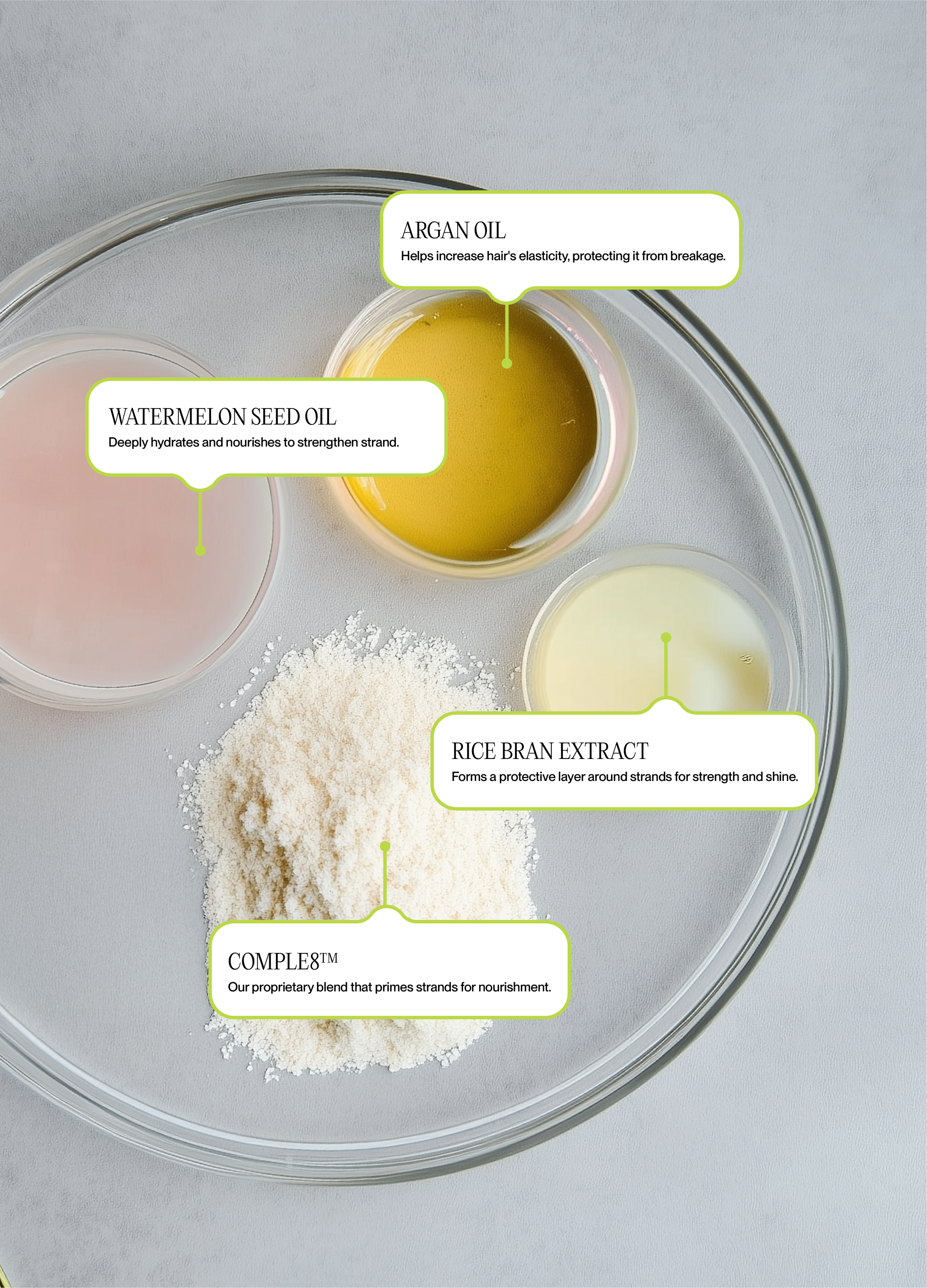 A clear glass plate with four separate containers holding different ingredients. The top right container contains yellow argan oil, with a label saying it helps increase hair's elasticity and protects from breakage. The middle left container has pink