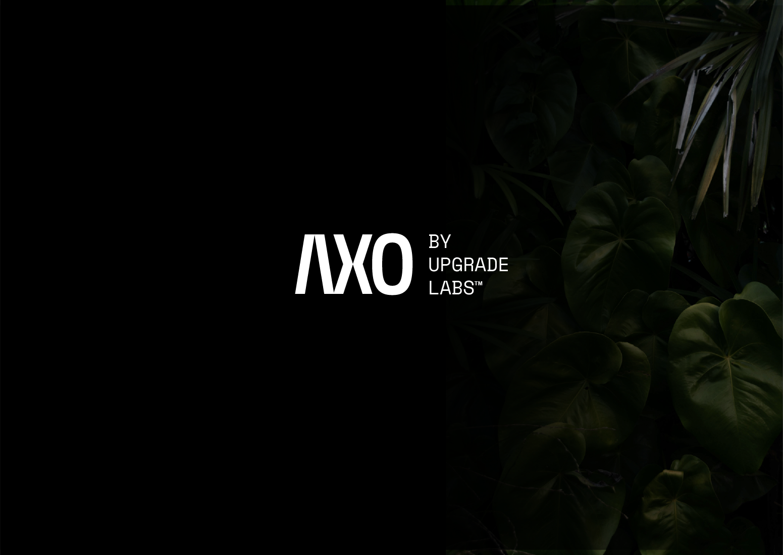 Dark promotional background with faint green leaves on the right side and white text reading 'AXO by Upgrade Labs' in the center.