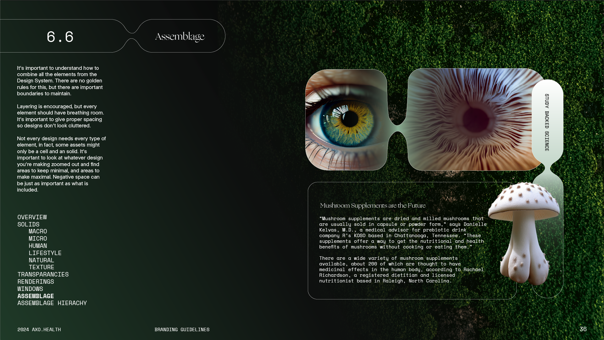 An infographic page about design assemblage featuring a close-up of a human eye and a mushroom. The eye is detailed with a green and yellow iris, and the mushroom is white with brown spots. The background is green with text explaining design principl