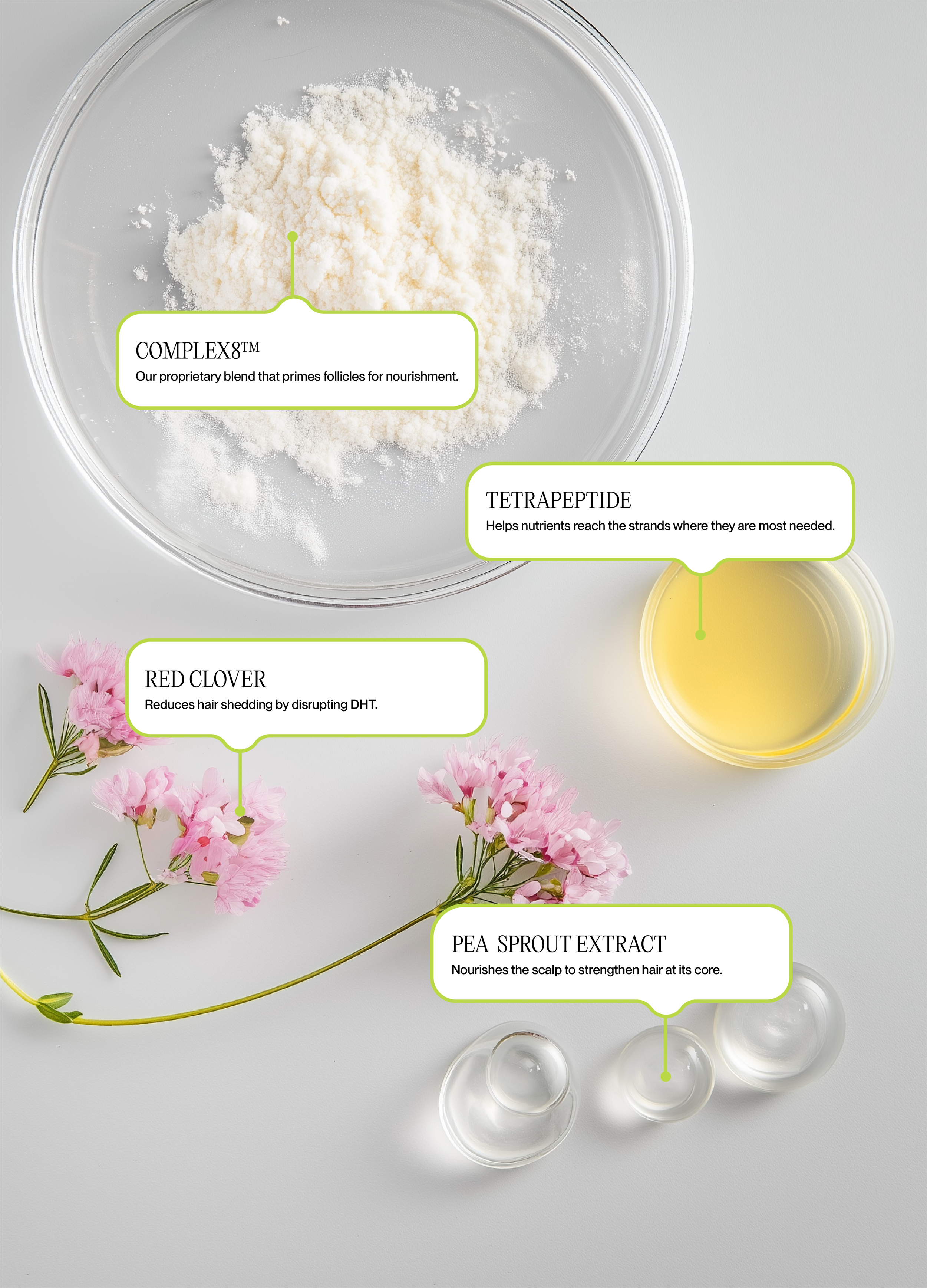 A flat lay of skincare ingredients and flowers, including a bowl of white powder labeled 'COMPLEX8', a small dish of yellow liquid labeled 'TETRAPEPTIDE', pink flowers labeled 'RED CLOVER', and three small clear containers with a label 'PEA SPROUT EX