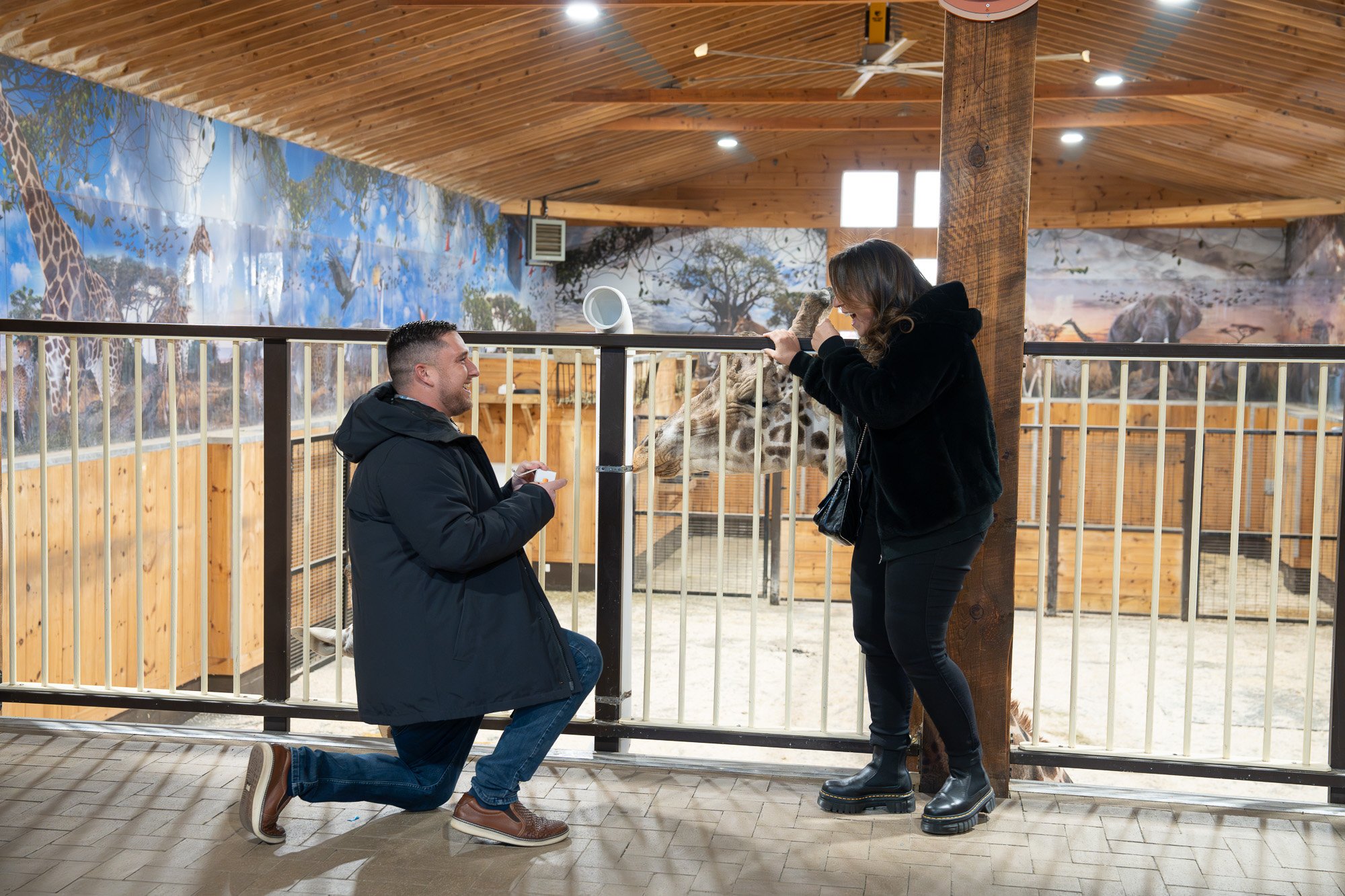 Proposal | Engagement