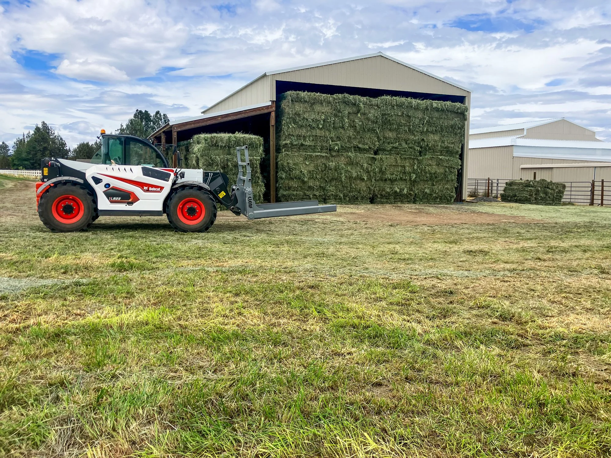 A Bobcat telehandler lifting hay bales into a large barn on a farm, with stacks of hay bales inside and nearby on the ground.