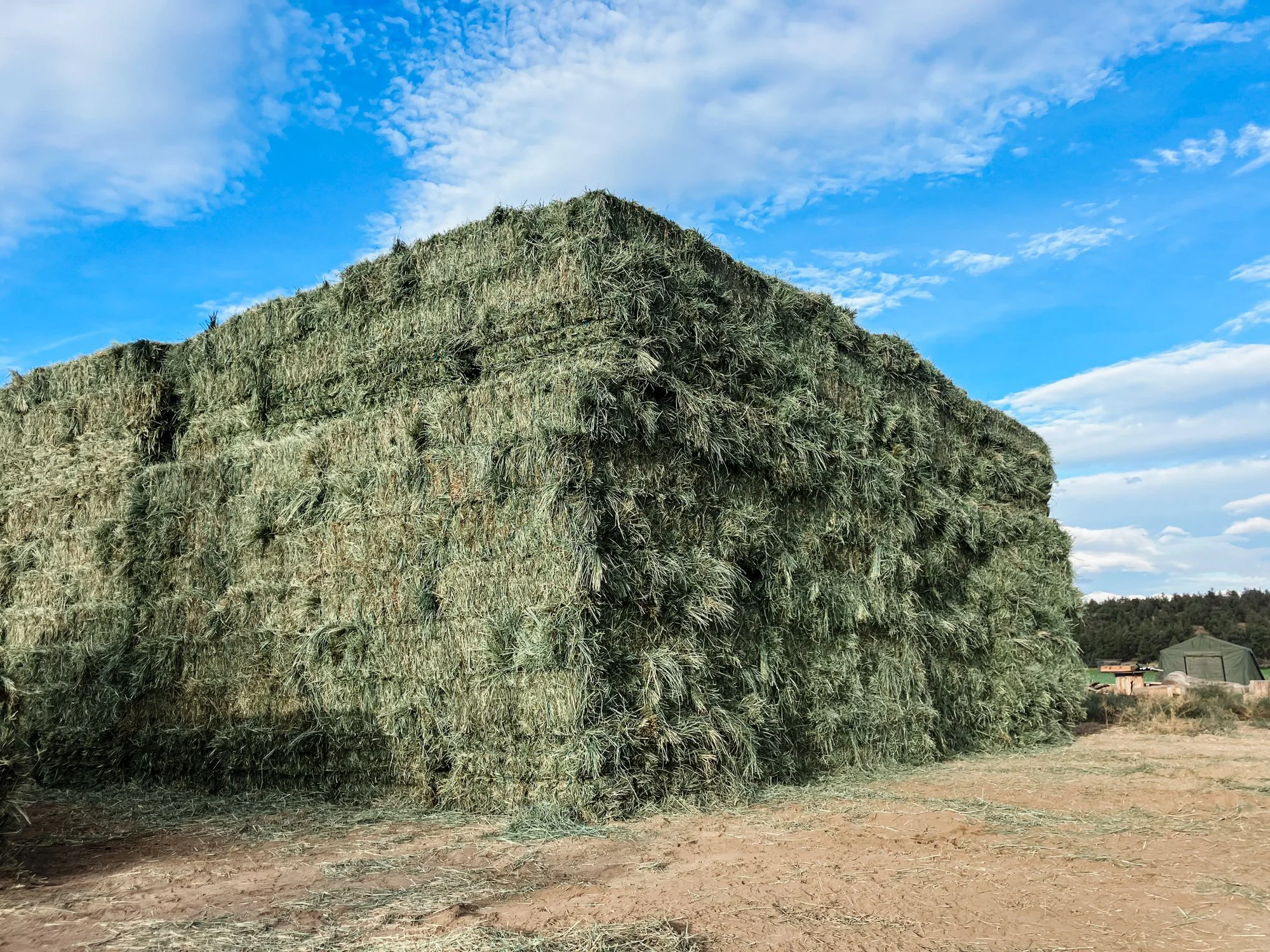 Large haystack in an outdoor field, with a blue sky and clouds above, and a small structure and trees in the background.