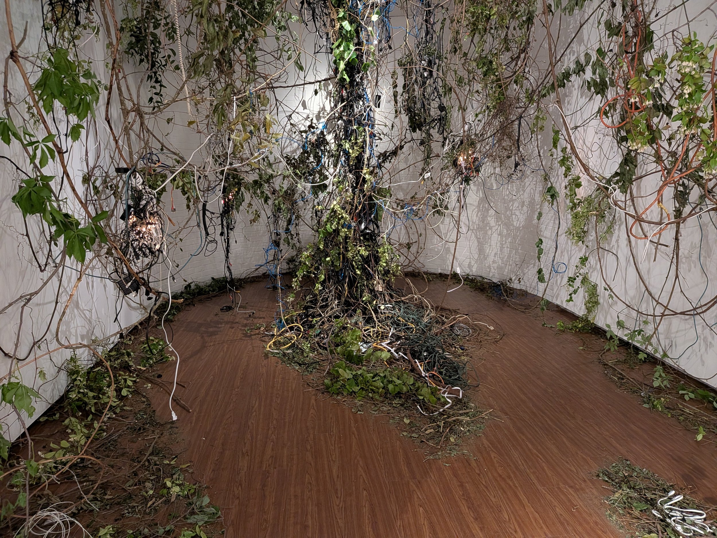 EEInstall (1).jpg