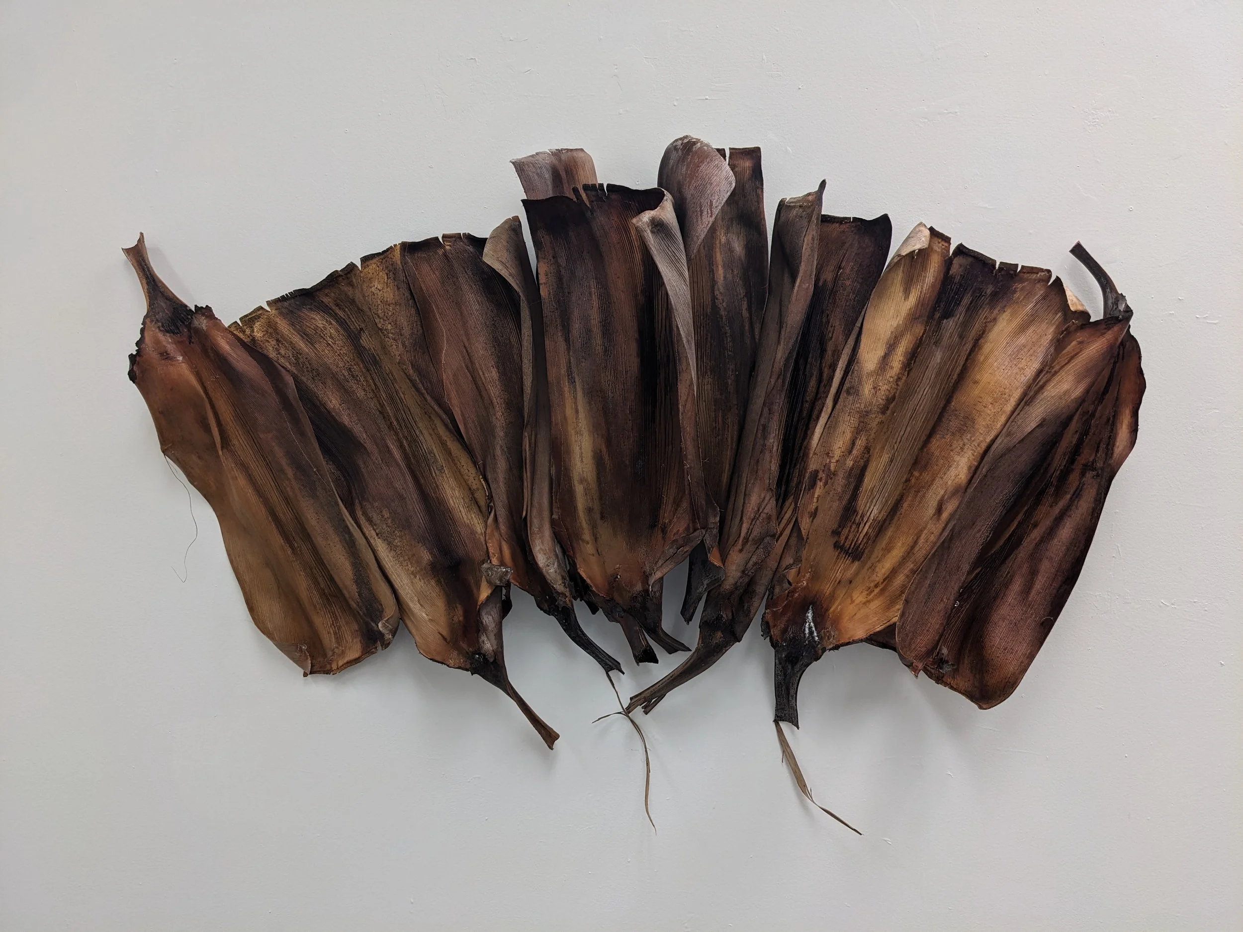 Shielded 
Fallen palm leaf sheaths, soaked 24 hours, stretched and molded, sewn together. 