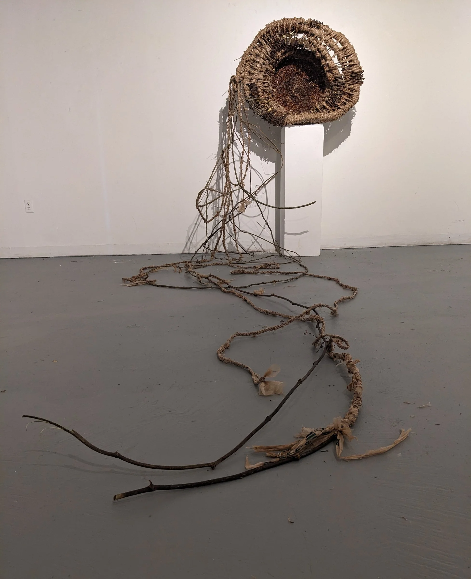 Where is Wilderness Now?