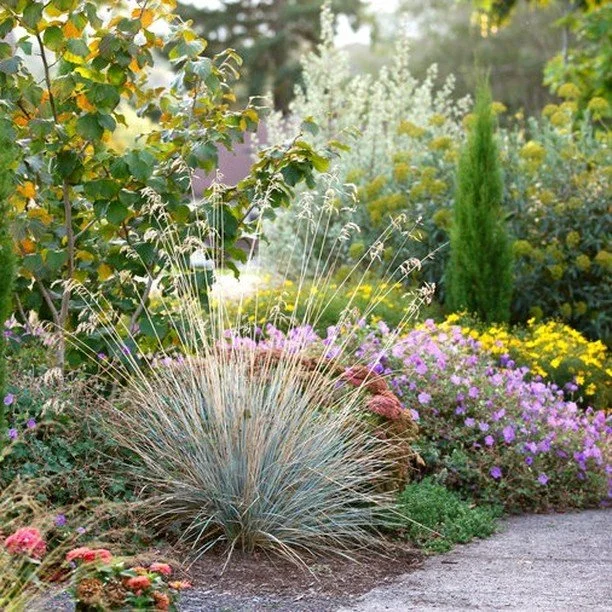 The final touch, the icing on the cake, the cherry on top, etc.... its the last touch of a landscape project.