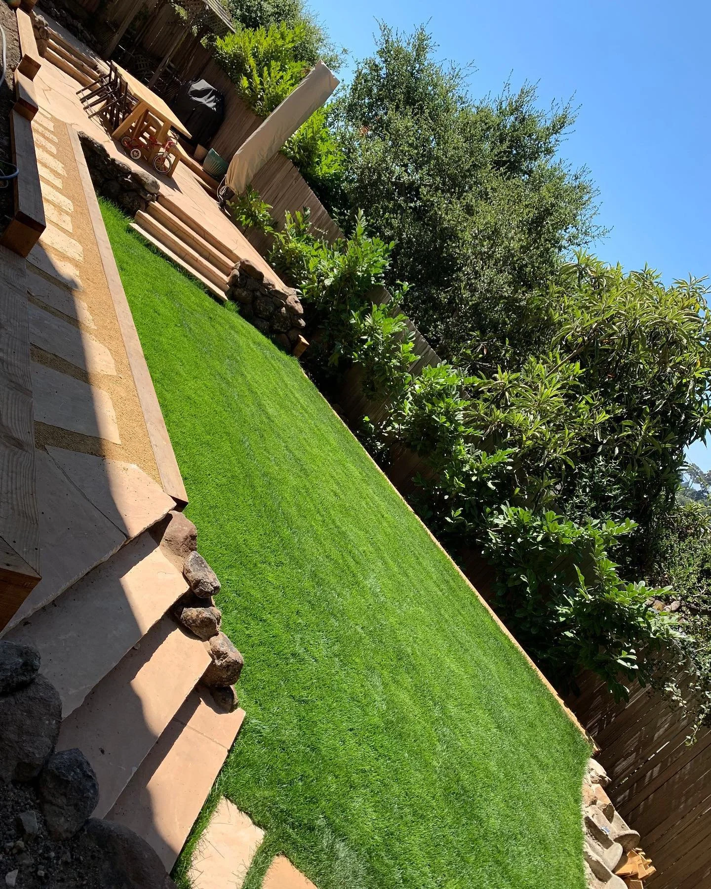 I would say having a nice backyard before a updated kitchen was the best decision my family made!