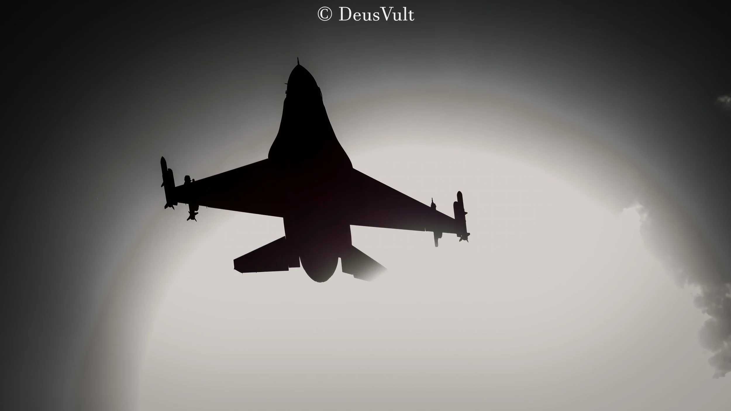 1IMG_1357-Avec accentuation-Bruit-topaz-enhance-2x-sharpen.jpeg