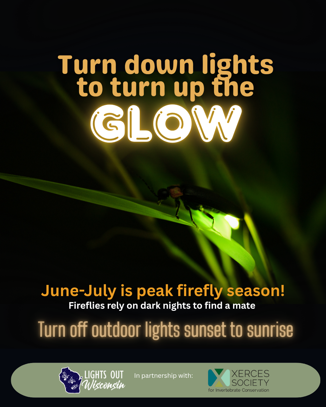 Turn down the lights to turn up the glow!