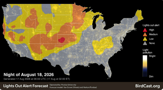 Learn the science behind bird migration forecasts and Lights Out Alerts