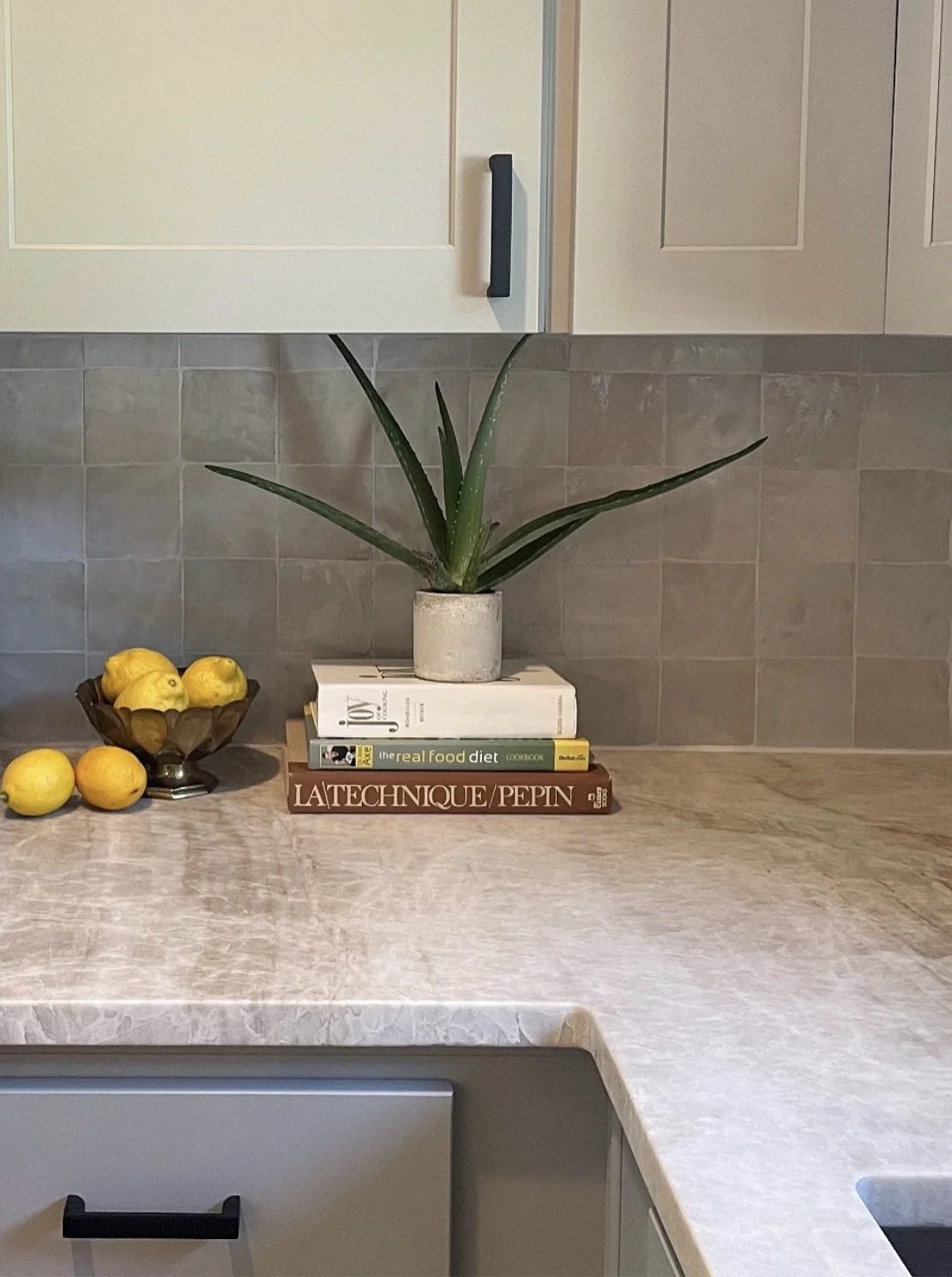 Modern kitchen designed by Austin interior designer HOLLEYHOUSE with books and potted plant