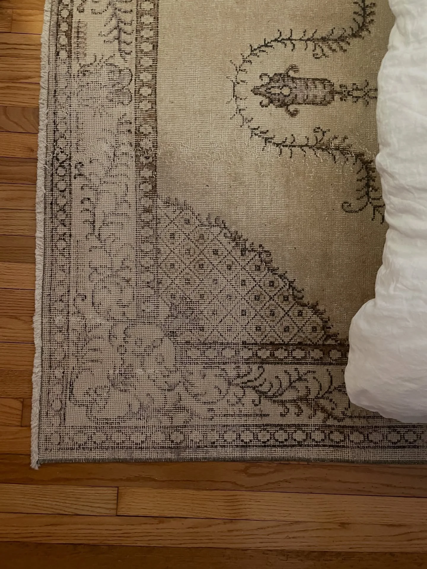 Narrow plank hardwood appreciation post! Truly the most classic, charming, vintage feel 🤌🏻

When choosing a flooring material, it&rsquo;s important to consider historical context alongside personal style. Still plagued by indecision? We can help

D