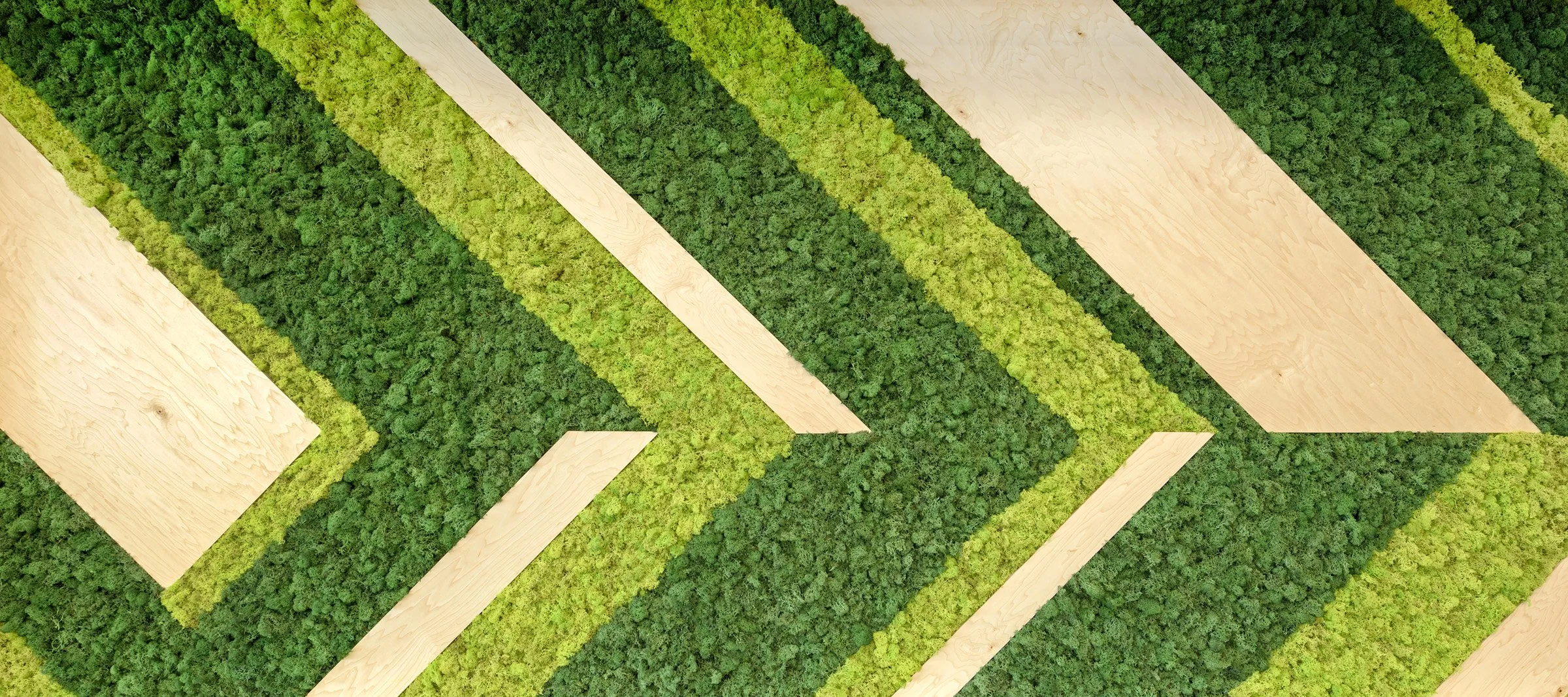 ComcastFloor2_16.jpg