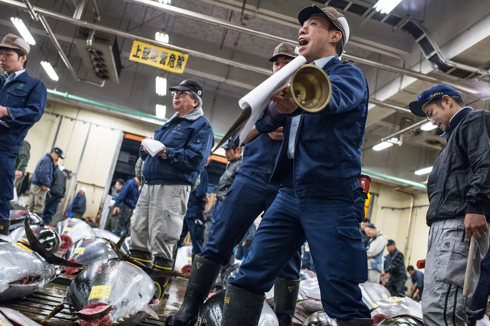 Auction at a fish market with multiple people, some holding notepads and others taking pictures, surrounded by large fish on the floor.