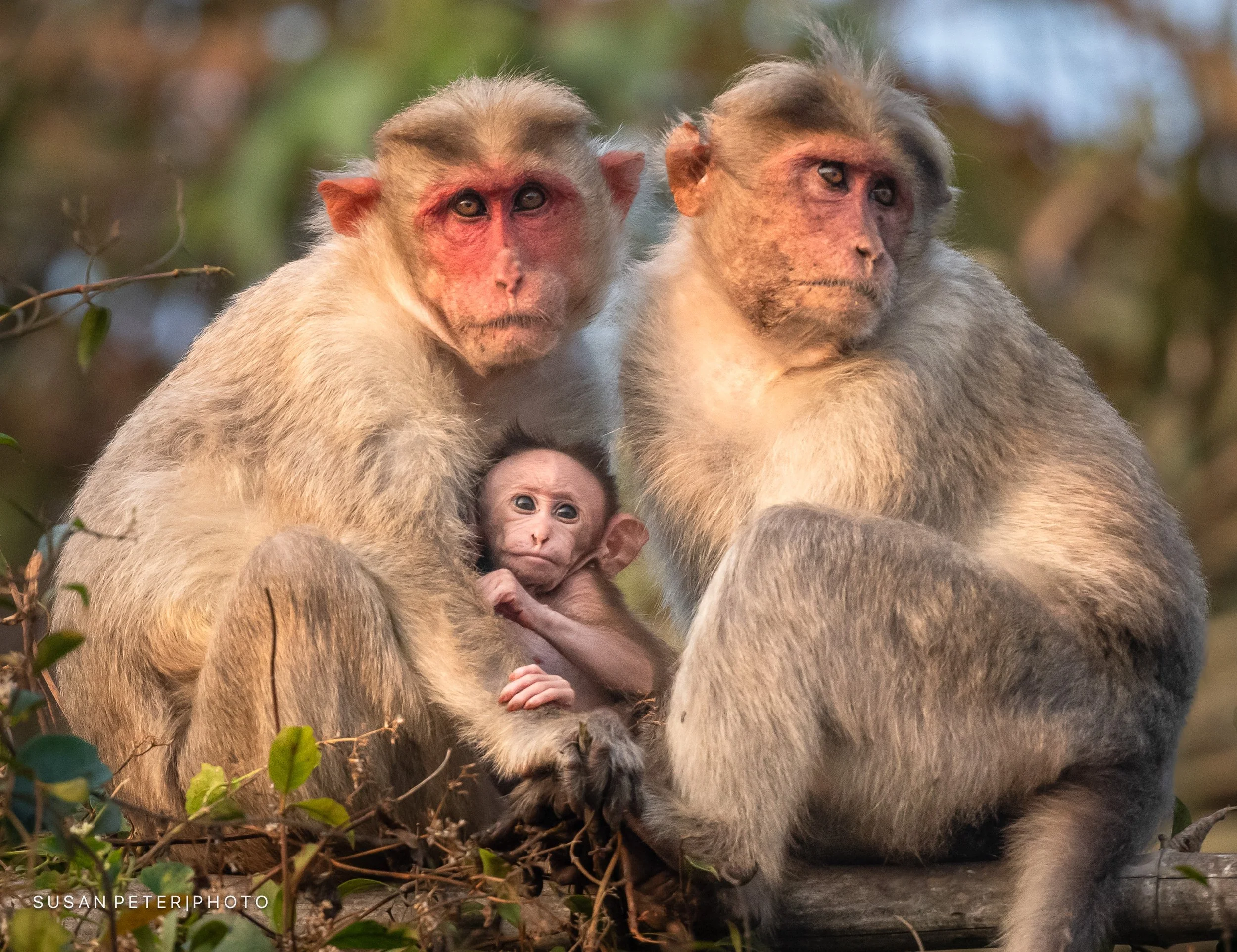 Explore India_SusanPeter-5.jpg