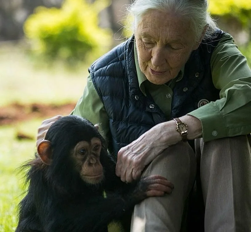 &ldquo;What you do makes a difference, and you have to decide what kind of difference you want to make.&rdquo;
&ndash; Dr. Jane Goodall
 
A lifelong advocate for wildlife and environmental conservation, Dr. Goodall&rsquo;s lifelong commitment, passio