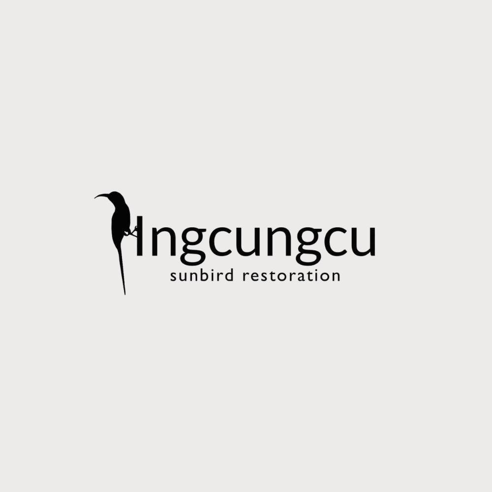 Ingcungcu Sunbird Restoration