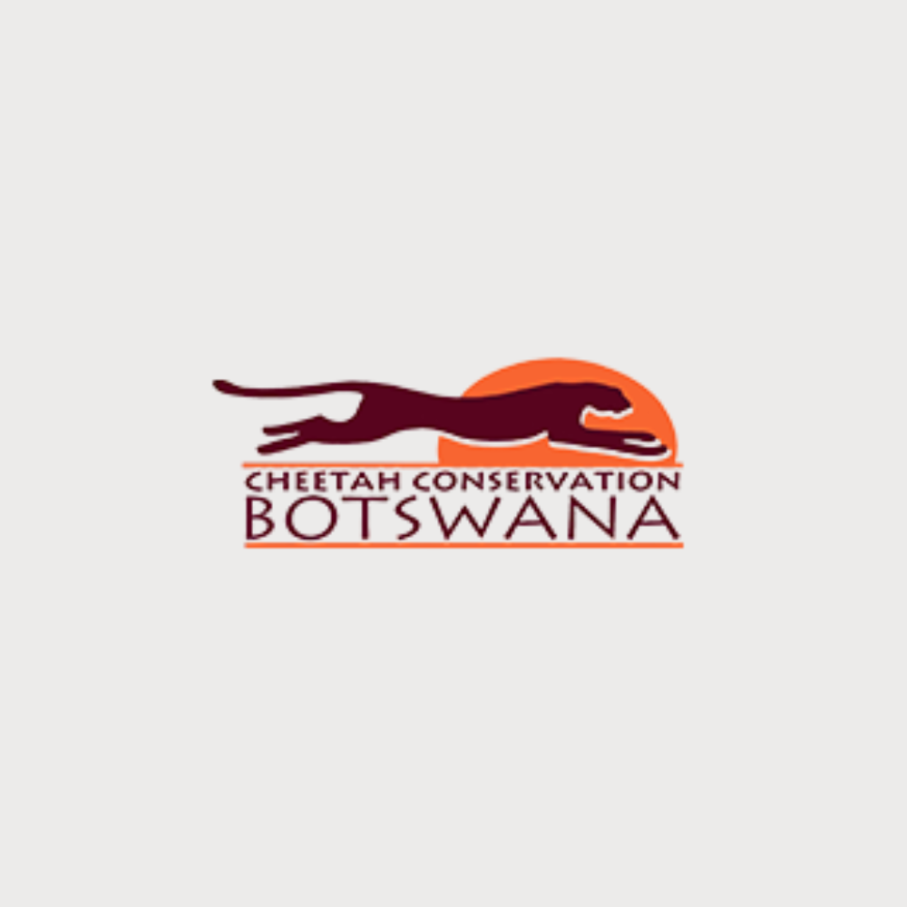 Cheetah Conservation Botswana