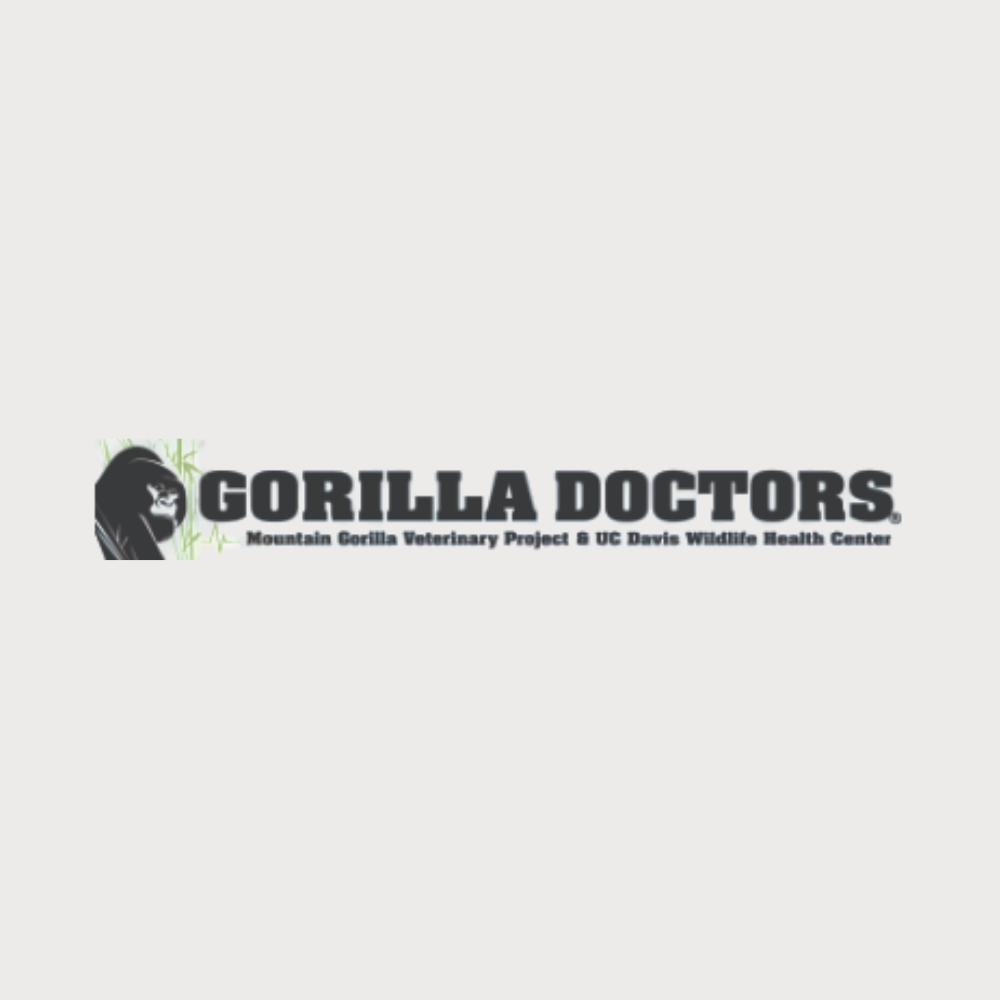 Gorilla Doctors