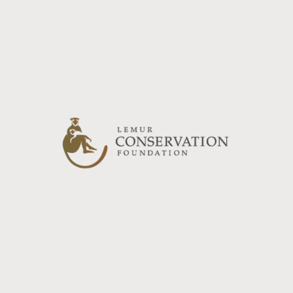 Lemur Conservation Foundation