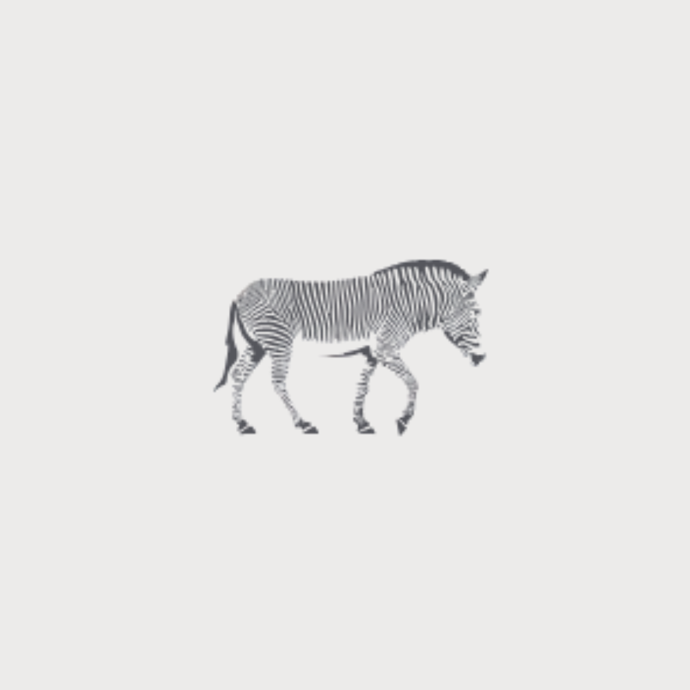Nomad Trust Tanzania