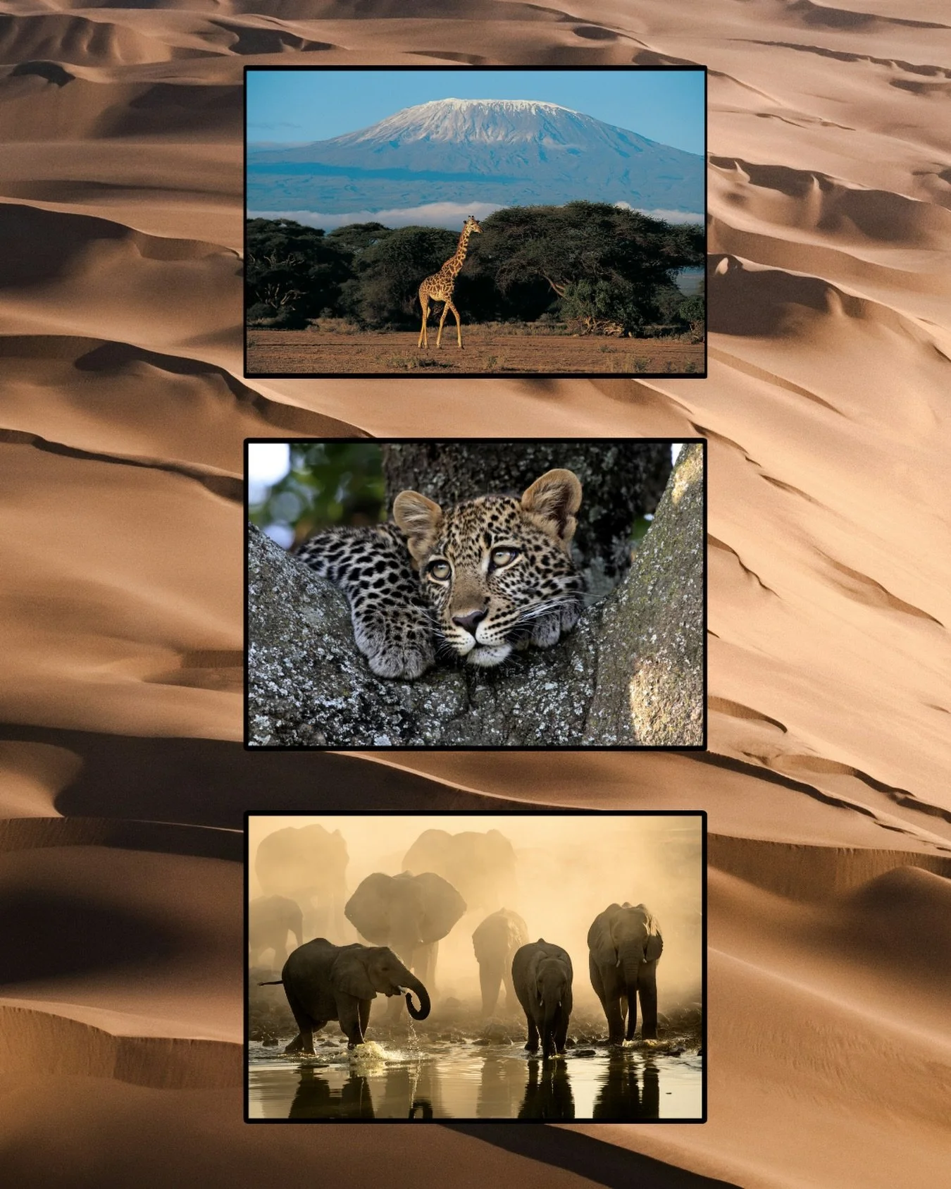 This Earth Day, we celebrate the wild places that inspire every journey we create.
 
Travel thoughtfully. Tread lightly.
 
#earthday #sustainabletravel #conservation