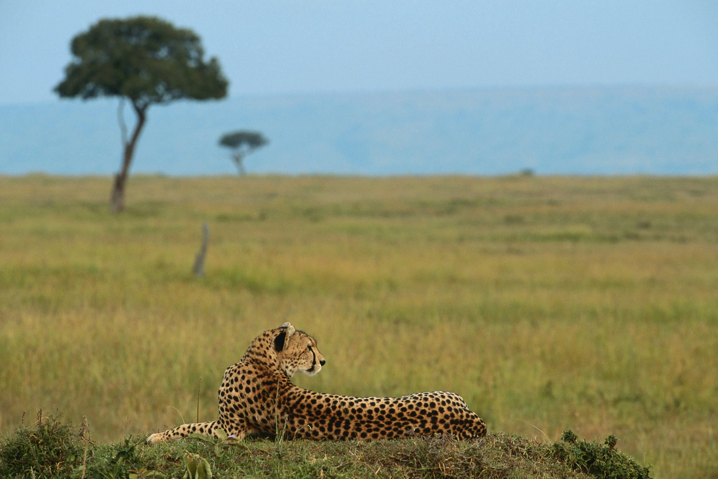 Inspiring African Travel Podcast