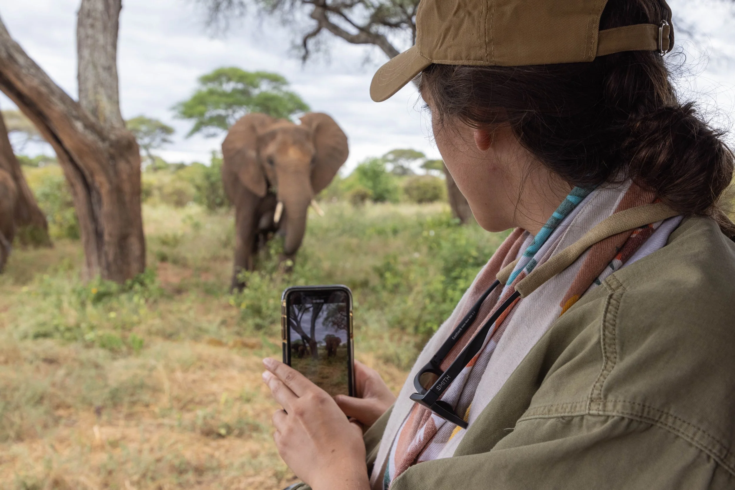 iphone elephant.jpg