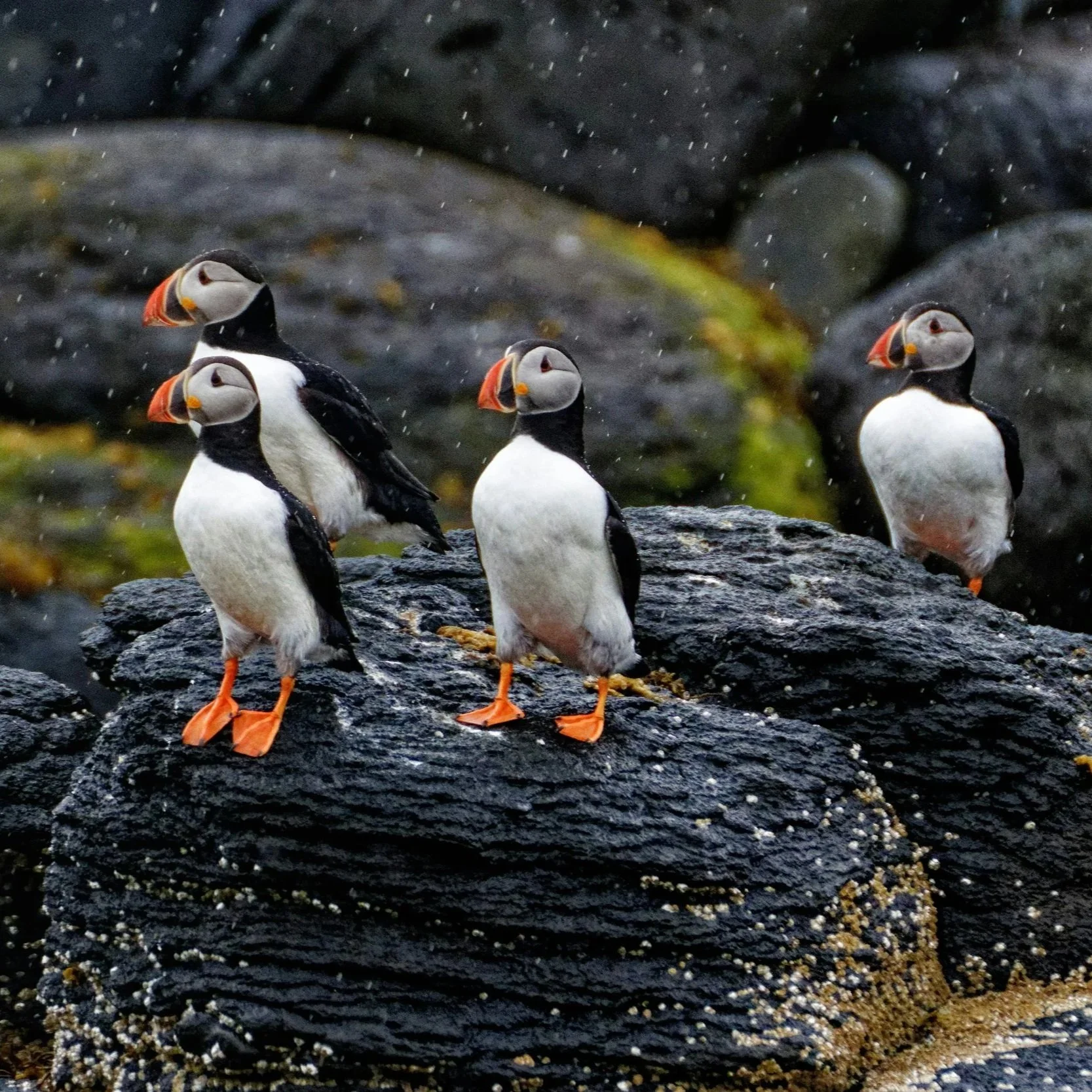 yves-alarie-Os5HONI1xf8-unsplash.jpg